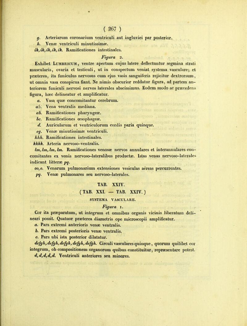 g. Arteriarum coronarium ventriculi aut ingluviei par posterior. h. Venae ventriculi minutissimae. {k,ik,ik,ik,ik. Ramificationes intestinales. Figura 2. Exhibet LUMBB-ICUM, ventre apertum cujus latere deflectuntur segmina strati muscularis, ovaria et testiculi, ut in conspectum veniat systema vasculare; et prseterea, ita funiculus nervosus cum ejus vasis sanguiferis rejicitur dextrorsum, ut omnia vasa conspicua fiant. Ne nimis obscurior reddatur figura, ad partem an- teriorem funiculi nervosi nervos laterales abscissimus. Eodem modo ac prsecedens figura, heec delineatur et amplificatur. a. Vasa quse concomitantur cerebrum. «5. Vena ventralis mediana. ah. Ramificationes pbaryngese. hc, Ramificationes oesophageae. d. Auricularunx et ventriculorum cordis paria quinque. eg. Vense minutissimse ventriculi. hhh. Ramificationes intestinales. kkkk. Arteria nervoso-ventralis. Im, Im, Im, Im. Ramificationes venosae nervos annulares et interannulares con- comitantes ex venis nervoso-lateralibus productee. Istas venas nervoso-laterales indicant litterae pg. 00,0. Venarum pulmonarium extensiones vesiculas aereas percurrentes. pg. Venae pulmonares seu nervoso-laterales. TAB. XXIV. (TAB. XXI. — TAB. XXIV.) SYSTEMA VASCULARE. Figura i. Cor ita praeparatum, ut integrum et omnibus organis vicinis Hberatum deli- neari possit. Quatuor praeterea diametris ope microscopii amplificatur. a. Pars extremi anterioris vense ventralis. b. Pars extremi posterioris vense ventralis, e. Pars ubi ista posterior dilatatur. defgh,defgh,defgh,defgh,dejgh. Circuli vascularesquinque, quorum quilibet cor integrum, ob compositionem organorum quibus constituitur, reprsesentare potest. djdfd^df d. Ventriculi anteriores seu minores.