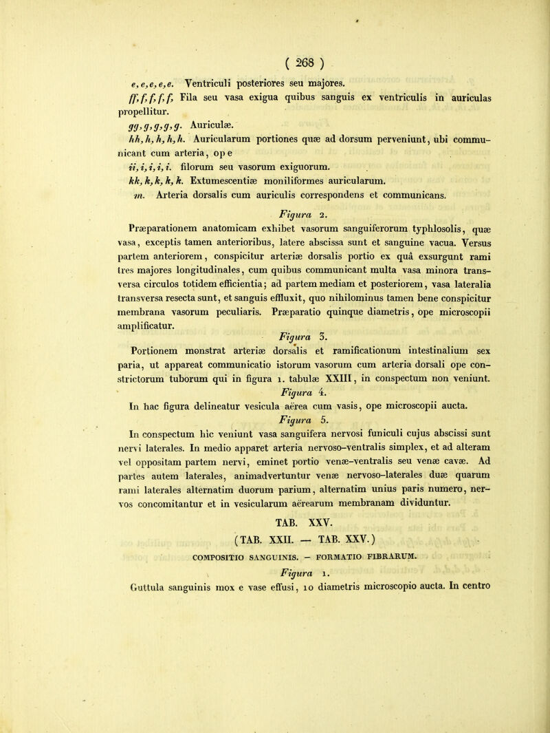 e,e,e,e,e. Ventriculi posteriores seu majores. ff,f,f,f,f, Fila seu vasa exigua quibus sanguis ex ventriculis in auriculas propellitur. Auriculae. hh, h, h, h, h. Auricularum portiones quje ad dorsum perveniunt, ubi commu- nicant cum arteria, op e filorum seu vasorum exiguorum. kk, k, k, k, k. Extumescentiae moniliformes auricularum. vi. Arteria dorsalis cum auriculis correspondens et communicans. Figura 2. Praeparationem anatomicam exhibet vasorum sanguiferorum typhlosolis, qu£E vasa, exceptis tamen anterioribus, latere abscissa sunt et sanguine vacua. Versus partem anteriorem, conspicitur arteriae dorsalis portio ex qua exsurgunt rami tres majores longitudinales, cum quibus communicant multa vasa minora trans- versa circulos totidem efficientia; ad partem mediam et posteriorem, vasa lateralia transversa resecta sunt, etsanguis effluxit, quo nihilominus tamen bene conspicitur membrana vasorum peculiaris. Pr£eparatio quinque diametris, bpe microscopii amplificatur. Figura 3. Portionem monstrat arterise dorsalis et ramificationum intestmalium sex paria, ut appareat communicatio istorum vasorum cum arteria dorsali ope con- strictorum tuborum qui in figura i. tabulse XXIII, in conspectum non veniunt. Figura 4. In hac figura delineatur vesicula aerea cum vasis, ope microscopii aucta. Figura 5. In conspectum hic veniunt vasa sanguifera nervosi funiculi cujus abscissi sunt nervi laterales. In medio apparet arteria nervoso-ventralis simplex, et ad alteram vel oppositam partem nervi, eminet portio vense-ventralis seu vense cavse. Ad partes autem laterales, animadvertuntur vense nervoso-laterales duse quarum rami laterales alternatim duorum parium, alternatim unius paris numero, ner- vos concomitantur et in vesicularum aerearum membranam dividuntur. TAB. XXV. (TAB. XXII. — TAB. XXV.) COMPOSITIO SANGUINIS. - FORMATIO FIBRARUM. Figura i. Guttula sanguinis mox e vase effusi, lo diamelris microscopio aucta. In centro