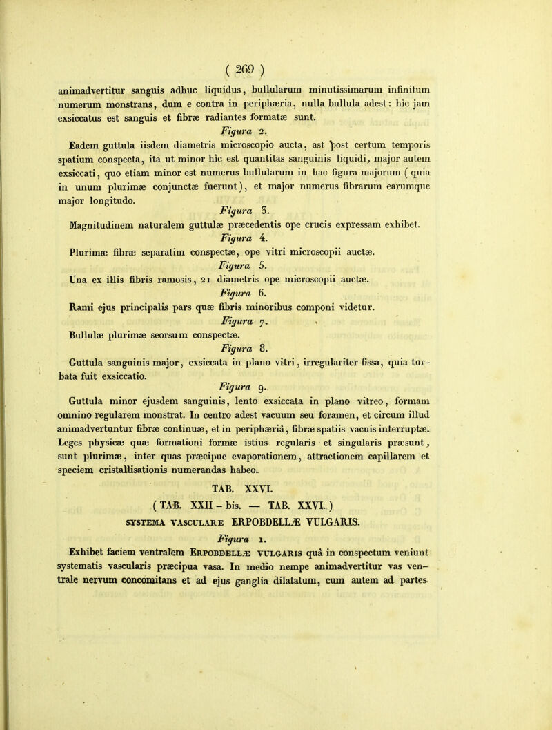 animadvertitur sanguis adhuc liquidus, bullularum minutissimarum infmitum numerum monstrans, dum e contra in periphaeria, nulla bullula adest: hic jam exsiccatus est sanguis et fibrae radiantes formatse sunt. Figura 2. Eadem guttula iisdem diametris microscopio aucta, ast \)ost certum temporis spatium conspecta, ita ut minor hic est quantitas sanguinis liquidi, major autem exsiccati, quo etiam minor est numerus bullularum in hac figura majorum ( quia in unum plurimae conjunctse fuerunt), et major numerus fibrarum earumque major longitudo. Figura 3. Magnitudinem naturalem guttulse praecedentis ope crucis expressam exhibet. Figura 4. Plurimae fibrse separatim conspectae, ope vitri microscopii auctse. Figura 5. Una ex iilis fibris ramosis, 21 diametris ope microscopii auctae. Figura 6. Rami ejus principalis pars quae fibris minoribus componi videtur.. Figura 7» Bullulee plurimae seorsum eonspectse. Figura 8. Guttula sanguinis major, exsiccata in plano vitri, irregulariter fissa, quia tur- bata fuit exsiccatio. Figura 9. Guttula minor ejusdem sanguinis, lento exsiccata in plano vitreo, formam omnino regularem monstrat. In centro adest vacuum seu foramen, et circima illud animadvertuntur fibrse continuse, et in periphaeria, fibrae spatiis vacuis interruptae. Leges physicae quae formationi formae istius regularis et singularis prsesunt, sunt plurimae, inter quas praecipue evaporationem, attractionem capillarem et speciem cristallisationis numerandas habeo.. TAB. XXVL (TAE. XXII-bis. — TAB. XXVL ) SYSTEMA VAscuLARE ERPOBDELLiE VULGARIS. Figura 1. Exhibet faciem ventralem ERPOBDELLiE vulgaris qua in conspectum veniunt systematis vascularis praecipua vasa. In medio nempe animadvertitur vas ven— trale nervum CQncomitans et ad ejus ganglia dilatatum, cum autem ad pai-tes-