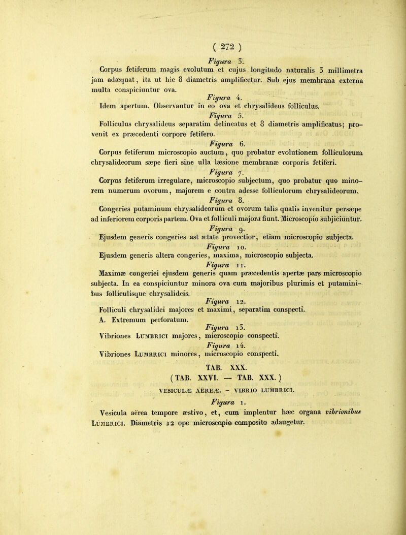 Figura 5. Corpus fetiferum magts evolutum et cujus longitudo naturalis 3 millimetra jam adaequat, ita ut liic 8 diametris amplificetur. Sub ejus membrana externa multa conspiciuntur ova. Figura 4. Idem apertum. Observantur in eo ova et chrysalideus folliculus. Ftgura 5. Folliculus chrysalideus separatim delineatus et 8 diametris amplificatu&; pi'o- venit ex prtecedenti cx^rpore fetifero. Figura 6. Corpus fetiferum microscopio auctum, quo probatur evolutionem folliculorum. chrysalideorum seepe fieri sine ulla Isesione membranae corporis fetiferi. Figura 7. Corpus fetiferum irregulare, microscopio subjectum, quo pi'obatur quo mino- rem numerum ovorum, majorem e contra adesse folliculoi'um chrysalideorum. Fig ura 8. Congeries putaminum chrysalideorum et ovorum talis qualis invenitur persaepe ad inferiorem corporis partem. Ova et folliculi majora fiunt. Microscopio subjiciuntur. Figura 9. Ejusdem generis congeries ast setate provectior, etiam microscopio subjecta. Figura 10. Ejusdem generis altera congeries, maxima, microscopio subjecta. Figura 1 r. Maximse congeriei ejusdem generis quam prsecedentis apertse pars microscopio subjecta. In ea conspiciuntur minora ova cum majoribus plurimis et putamini- bus folliculisque chrysalideis. Figura 12. FoUiculi chrysalidei majores et maximi, separatim conspecti.. A. Extremum perforatum. Figura i3. Vibriones Lumbrici majores, microscopio conspecti. Figura i4. Vibriones IiUMBlllci minores, microscopio conspecti. TAB. XXX. (TAB. XXVI. — TAB. XXX.) VESICULiE AERE^. - VIBRIO LUMBRICI. Figura 1. Vesicula aerea tempore sestivo, et, cum implentur hsec organa vihrionibus LuMBRici. IXiametris J2 ope microscapio composita adaugetur.