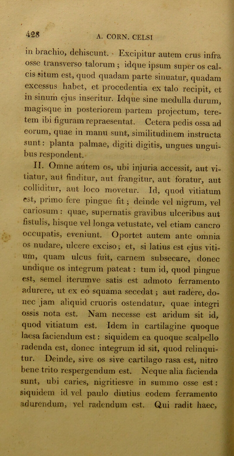 m brachio, dehiscunt. ' Excipitur autem crus infra osse transverso talorum ; idque ipsum super os cal- cis situm est, quod quadam parte sinuatur, quadam excessus habet, et procedentia ex talo recipit, et in sinum ejus inseritur. Idque sine medulla durum, magisque in posteriorem partem projectum, tere- tem ibi figuram repraesentat. Cetera pedis ossa ad eoi um, quae in manu sunt, similitudinem instructa sunt: planta palmae, digiti digitis, ungues ungui- bus respondent. II. Omne aiitem os, ubi injuria accessit, aut vi- tiatur, aut finditur, aut frangitur, aut foratur, aut colliditur, aut loco movetur. Id, quod vitiatum est, primo fere pingue fit; deinde vel nigrum, vel cariosum : quae, supernatis gravibus ulceribus aut fistulis, hisque vel longa vetustate, vel etiam cancro occupatis, eveniunt. Oportet autem ante omnia os nudare, ulcere exciso; et, si latius est ejus viti- um, quam ulcus fuit, carnem subsecare, donec undique os integrum pateat : tum id, quod pingue est, semel iterumve satis est admoto ferramento adurere, ut ex eo squama secedat; aut radere, do- nec jam aliquid cruoris ostendatur, quae integri ossis nota est. Nam necesse est aridum sit id, quod vitiatum est. Idem in cartilagine quoque laesa faciendum est; siquidem ea quoque scalpello radenda est, donec integrum id sit, quod relinqui- tur. Deinde, sive os sive cartilago rasa est, nitro bene trito respergendum est. Neque alia facienda sunt, ubi caries, nigritiesve in summo osse est: siquidem id vel paulo diutius eodem ferramento adurendum, vel radendum est. Qui radit haec.