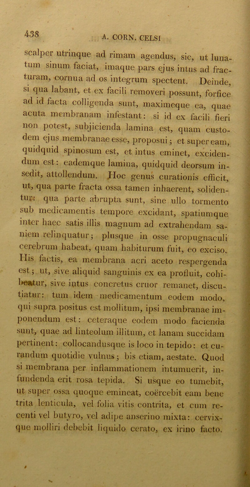 A. CORN. CELSI scalper utrinque ad rimam agendus, sic, ut luna- tum sinum faciat, imaque pars ejus intus ad frac- turam, cornua ad os integrum spectent. Deinde, si qua labant, et ex facili removeri possunt, forfice ad id facta colligenda sunt, maximeque ea, quae acuta membranam infestant: si id ex facili fieri non potest, subjicienda lamina est, quam custo- dem ejus membranae esse, proposui; et supeream, quidquid spinosum est, et intus eminet, exciden- dum est: eademque lamina, quidquid deorsum in- sedit, attollendum. Hoc genus curationis efficit, ut, qua parte fracta ossa tamen inhaerent, soliden- tui. qua pai te abrupta sunt, sine ullo tormento sub medicamentis tempore excidant, spatiumque inter haec satis illis magnum ad extrahendam sa- niem relinquatur; plusque in osse propugnaculi ceiebium habeat, quam habiturum fuit, eo exciso. His factis, ea membrana acri aceto respergenda est; ut, sive aliquid sanguinis ex ea profluit, cohi- beatur, sive intus concretus eruor remanet, discu- tiatur: tum idem medicamentum eodem modo, qui supra positus est mollitum, ipsi membranae im- ponendum est: ceteraque eodem modo facienda sunt, quae ad linteolum illitum, et Janam succidam pertinent: collocandusque is loco in tepido: et cu- randum quotidie vulnus; bis etiam, aestate. Quod si membrana per inflammationem intumuerit, in- fundenda erit rosa tepida. Si usque eo tumebit, ut super ossa quoque emineat, coercebit eam bene trita lenticula, vel folia vitis contrita, et cum re- centi vel butyro, vel adipe anserino mixta: cervix- que molliri debebit liquido cerato, ex irino facto.