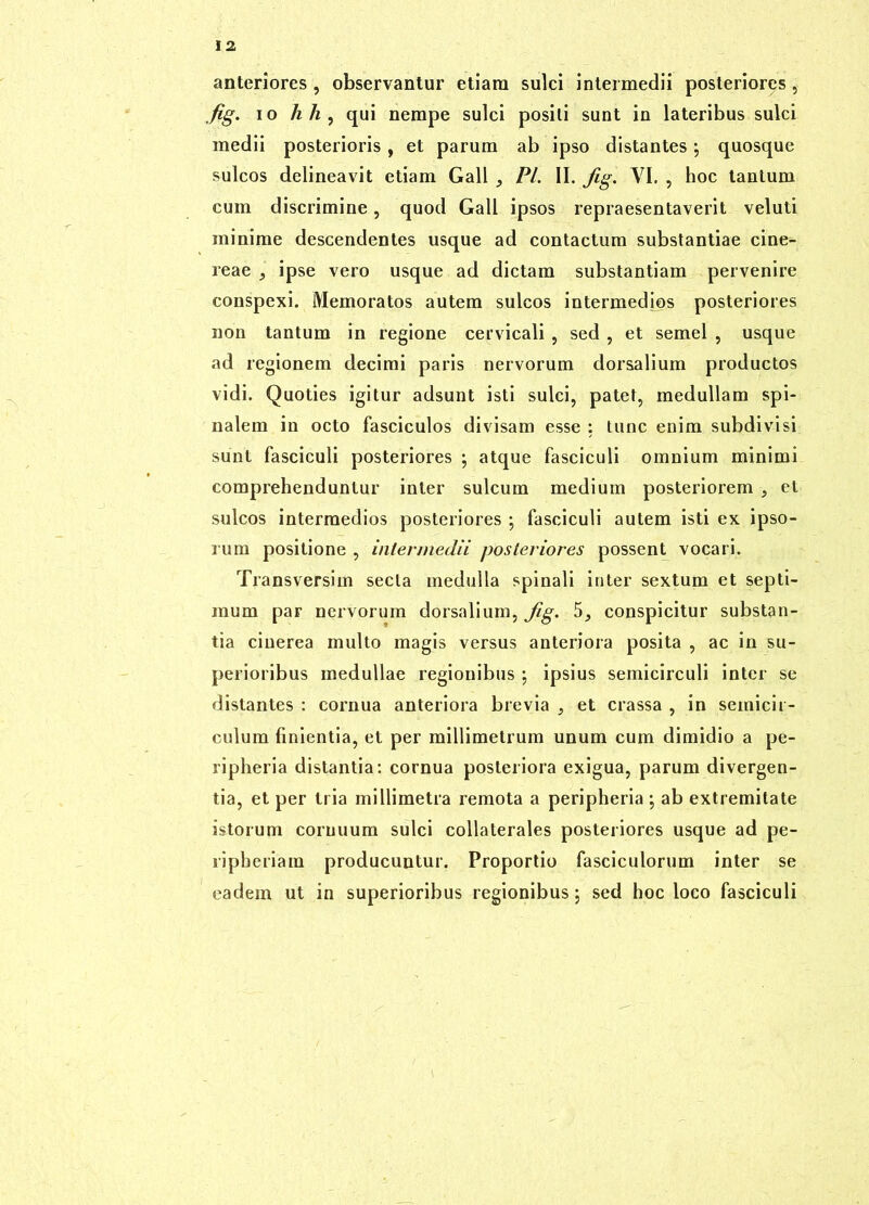 anteriores, observantur etiam sulci intermedii posteriores, fig. IO hli^ qui nempe sulci positi sunt in lateribus sulci medii posterioris, et parum ab ipso distantes; quosque sulcos delineavit etiam Gall ^ Pl. II. fig. VI. , hoc tantum cum discrimine, quod Gall ipsos repraesentaverit veluti minime descendentes usque ad contactum substantiae cine- reae , ipse vero usque ad dictam substantiam pervenire conspexi. Memoratos autem sulcos intermedios posteriores non tantum in regione cervicali , sed , et semel , usque ad regionem decimi paris nervorum dorsalium productos vidi. Quoties igitur adsunt isti sulci, patet, medullam spi- nalem in octo fasciculos divisam esse : tunc enim subdivisi sunt fasciculi posteriores ; atque fasciculi omnium minimi comprehenduntur inter sulcum medium posteriorem , et sulcos intermedios posteriores ; fasciculi autem isti ex ipso- rum positione , intermedii posteriores possen^ vocari. Transversim secta medulla spinali inter sextum et septi- mum par nervorum dorsalium, Jig. 5, conspicitur substan- tia cinerea multo magis versus anteriora posita , ac in su- perioribus medullae regionibus ; ipsius semicirculi inter se distantes : cornua anteriora brevia , et crassa , in semicir- culum finientia, et per millimetrum unum cum dimidio a pe- ripheria distantia: cornua posteriora exigua, parum divergen- tia, et per tria millimetra remota a peripheria ; ab extremitate istorum cornuum sulci collaterales posteriores usque ad pe- ripheriam producuntur. Proportio fasciculorum inter se eadem ut in superioribus regionibus j sed hoc loco fasciculi