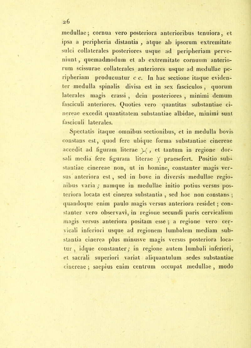 medullae; cornua vero posteriora anterioribus tenuiora, et ipsa a peripheria distantia , atque ab ipsorum extremitate sulci collaterales posteriores usque ad peripheriam perve- niunt , quemadmodum et ab extremitate cornuum anterio- rum scissurae collaterales anteriores usque ad medullae pe- ripheriam producuntur c c. In hac sectione itaque eviden- ter medulla spinalis divisa est in sex fasciculos , quorum laterales magis crassi , dein posteriores , minimi demum fasciculi anteriores. Quoties vero quantitas substantiae ci- nereae excedit quantitatem substantiae albidae, minimi sunt fasciculi laterales. Spectatis itaque omnibus sectionibus, et in medulla bovis constans est, quod fere ubique forma substantiae cinereae accedit ad liguram literae , et tantum in regione dor- sali media fere figuram literae )( praesefert. Positio sub- stantiae cinereae non, ut in homine, constanter magis ver- sus anteriora est, sed in bove in diversis medullae regio- nibus varia ; namque in medullae initio potius versus pos- teriora locata est cinerea substantia , sed hoc non constans : quandoque enim paulo magis versus anteriora residet; con- stanter vero observavi, in regione secundi paris cervicalium magis versus anteriora positam esse ; a regione vero cer- vicali inferiori usque ad regionem lumbalem mediam sub- stantia cinerea plus minusve magis versus posteriora loca- tur , idque constanter; in regione autem lumbali inferiori, et sacrali superiori variat j aliquantulum sedes substantiae cinereae ; saepius enim centrum occupat medullae , modo