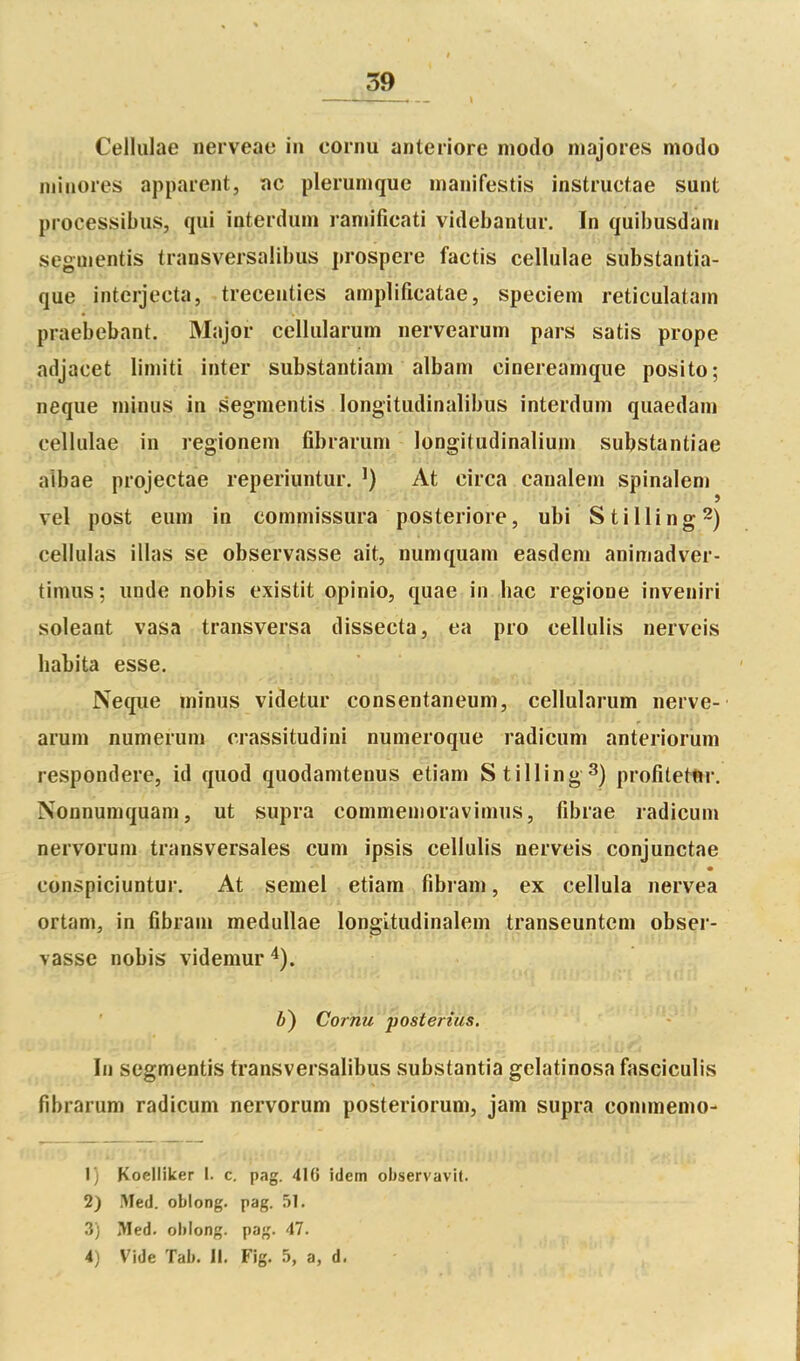 39 Cellulae iierveae in cornu anteriore modo majores modo minores apparent, ac plerumquc manifestis instrucfae sunt processibiis, qui interdum raniificati videbantur. In quibusdam segQientis transversalibus prospère factis cellulae substantia- que interjecta, treçenties amplificatae, speciem reticulatam praebebant. Major cellularum nervearum pars satis prope adjacet limiti inter substantiam albam cinereamque posito; neque minus in segmentis longitudinalibus interdum quaedam cellulae in regionem fibrarum longitudinalium substantiae albae projectae reperiuntur. At circa canalem spinaleni vel post eum in commissura posteriore, ubi Stilling^) cellulas illas se observasse ait, numquam easdem animadver- timus; unde nobis existit opinio, quae in bac regione inveniri soleant vasa transversa dissecta, ea pro cellulis nerveis habita esse. Neque minus videtur consentaneum, cellularum nerve- arum numeruni crassitudini numeroque radicum anteriorum respondere, id quod quodanitenus etiam Stilling^) profilettir. Nonnumquani, ut supra commenioravimus, fibrae radicum nervorum transversales cum ipsis cellulis nerveis conjunctae conspiciuntur. At semel etiam fibram, ex cellula nervea ortam, in fibram medullae longitudinalem transeuntem obser- vasse nobis videmur i) Cornu posteriiis. In segmentis transversalibus substantia gelatinosa fasciculis fibrarum radicum nervorum posteriorum, jam supra conimemo- 1) Koelliker I. c. pag. 416 idem observavit. 2) !VIed. oblong. pag. 51. 3) Med. oblong. pag. 47.