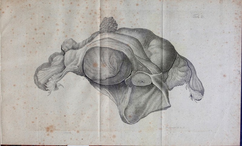 -■ M. Ji% . N , \ )