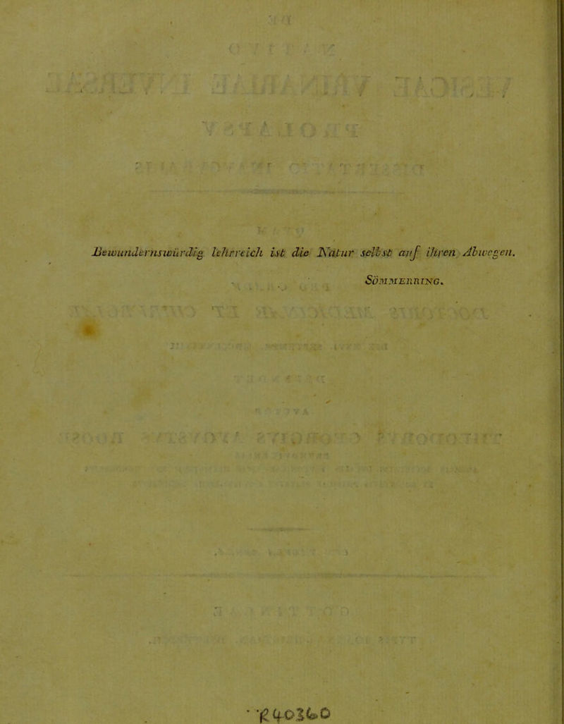 1 liewundiiniswiirdlg Ichrreich Ut die Natur selhst aitj iltren Ahwcgen. SoDiyiElinTNG. • ‘fetfOi4s<o