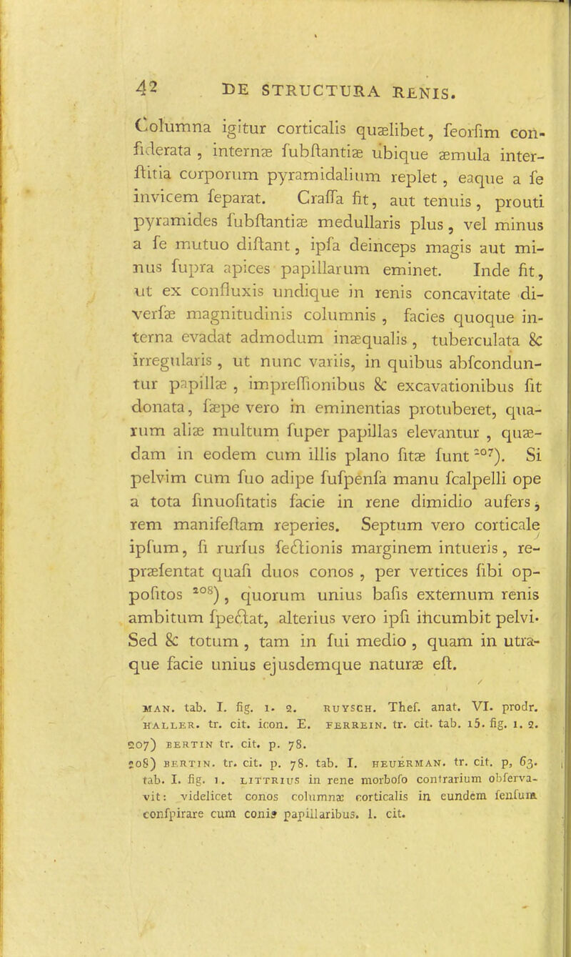 Columna igitur corticalis quaelibet, feorfim con- fiderata , internas fubftantiae ubique aemula inter- ftitia corporum pyramidalium replet , eaque a fe invicem feparat. Crafla fit, aut tenuis, prouti pyramides fubftantiae medullaris plus, vel minus a fe mutuo diftant, ipfa deinceps magis aut mi- nus fupra apices papillarum eminet. Inde fit, Ut ex confluxis undique m renis concavitate di- verfae magnitudinis columnis , facies quoque in- terna evadat admodum inaequalis , tuberculata & irregularis , ut nunc variis, in quibus abfcondun- tur pnpillae , impreflionibus & excavationibus fit donata, faepe vero in eminentias protuberet, qua- rum aliae multum fuper papillas elevantur , quae- dam in eodem cum illis plano fitse funt -°7). Si pelvim cum fuo adipe fufpenfa manu fcalpelli ope a tota fmuofitatis facie in rene dimidio aufers 3 rem manifeftam reperies. Septum vero corticale ipfum, fi rurfus feclionis marginem intueris, re- praefentat quafi duos conos , per vertices fibi op- pofitos 2°8), quorum unius bafis externum renis ambitum fpeftat, alterius vero ipfi ihcumbit pelvi- Sed 8c totum , tam in fui medio , quam in utra- que facie unius ejusdemque naturae eft. jian. tab. I. fig. 1. 2. kuysch. Thef. anat. VI. proclr. kaller. tr. cit. icon. E. ferrein. tr. cit. tab. i5. fig. 1, 2. 207) EERTIN tr. Cit. p. 78. -08) bertin. tr. cit. p. 78. tab. I. heuerman. tr. cit. p, 63. tab. I. fig. L. littrius in rene morbofo contrarium obferva- vit: videlicet conos columnac corticalis in eundem fenfura confpirare cum coni? papiilaribus. 1. cit.