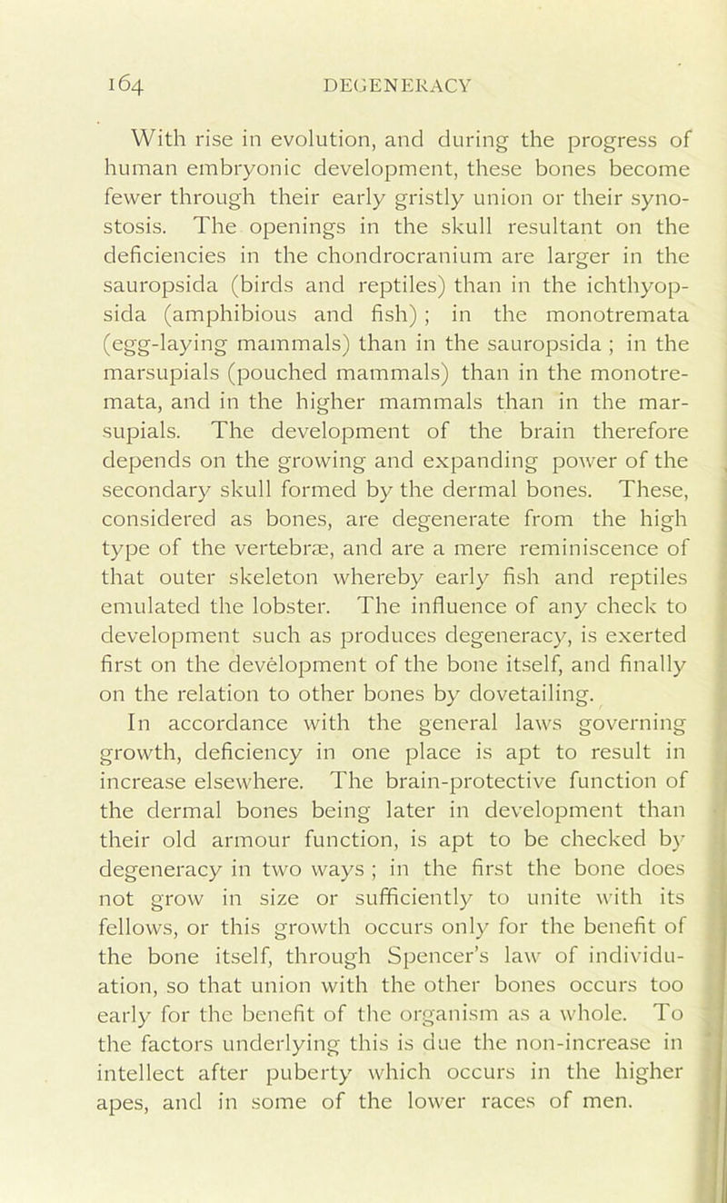 With rise in evolution, and during the progress of human embryonic development, these bones become fewer through their early gristly union or their syno- stosis. The openings in the skull resultant on the deficiencies in the chondrocranium are larger in the sauropsida (birds and reptiles) than in the ichthyop- sida (amphibious and fish) ; in the monotremata (egg-laying mammals) than in the sauropsida ; in the marsupials (pouched mammals) than in the monotre- mata, and in the higher mammals than in the mar- supials. The development of the brain therefore depends on the growing and expanding power of the secondary skull formed by the dermal bones. These, considered as bones, are degenerate from the high type of the vertebras, and are a mere reminiscence of that outer skeleton whereby early fish and reptiles emulated the lobster. The influence of any check to development such as produces degeneracy, is exerted first on the development of the bone itself, and finally on the relation to other bones by dovetailing. In accordance with the general laws governing growth, deficiency in one place is apt to result in increase elsewhere. The brain-protective function of the dermal bones being later in development than their old armour function, is apt to be checked by degeneracy in two ways ; in the first the bone does not grow in size or sufficiently to unite with its fellows, or this growth occurs only for the benefit of the bone itself, through Spencer’s law of individu- ation, so that union with the other bones occurs too early for the benefit of the organism as a whole. To the factors underlying this is due the non-increase in intellect after puberty which occurs in the higher apes, and in some of the lower races of men.