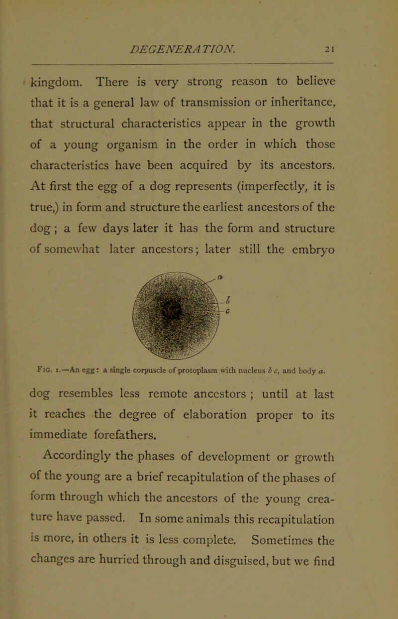kingdom. There is very strong reason to believe that it is a general lav/ of transmission or inheritance, that structural characteristics appear in the growth of a young organism in the order in which those characteristics have been acquired by its ancestors. At first the egg of a dog represents (imperfectly, it is true,) in form and structure the earliest ancestors of the dog ; a few days later it has the form and structure of somewhat later ancestors; later still the embryo l Fig. i.—An egg: a single corpuscle of protoplasm with nucleus b c, and body a. dog resembles less remote ancestors ; until at last it reaches the degree of elaboration proper to its immediate forefathers. Accordingly the phases of development or growth of the young are a brief recapitulation of the phases of form through which the ancestors of the young crea- ture have passed. In some animals this recapitulation is more, in others it is less complete. Sometimes the changes are hurried through and disguised, but we find