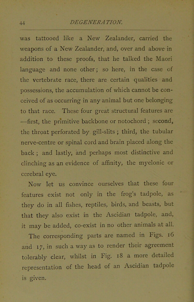 was tattooed like a New Zealander, carried the weapons of a New Zealander, and, over and above in addition to these proofs, that he talked the Maori language and none other; so here, in the case of the vertebrate race, there are certain qualities and possessions, the accumulation of which cannot be con- ceived of as occurring in any animal but one belonging to that race. These four great structural features are —first, the primitive backbone or notochord ; second, the throat perforated by gill-slits ; third, the tubular nerve-centre or spinal cord and brain placed along the back ; and lastly, and perhaps most distinctive and clinching as an evidence of affinity, the myelonic or cerebral eye. Now let us convince ourselves that these four features exist not only in the frog’s tadpole, as they do in all fishes, reptiles, birds, and beasts, but that they also exist in the Ascidian tadpole, and, it may be added, co-exist in no other animals at all. The corresponding parts are named in Figs. 16 and 17, in such a way as to render their agreement tolerably clear, whilst in Fig. 18 a more detailed representation of the head of an Ascidian tadpole is given.