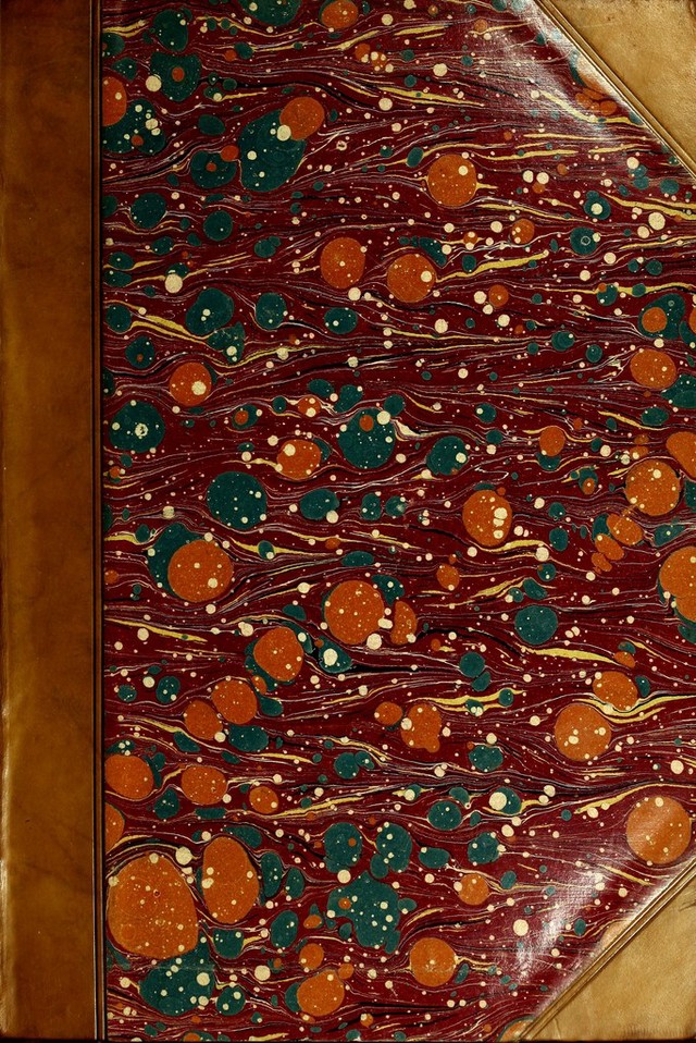 No text description is available for this image