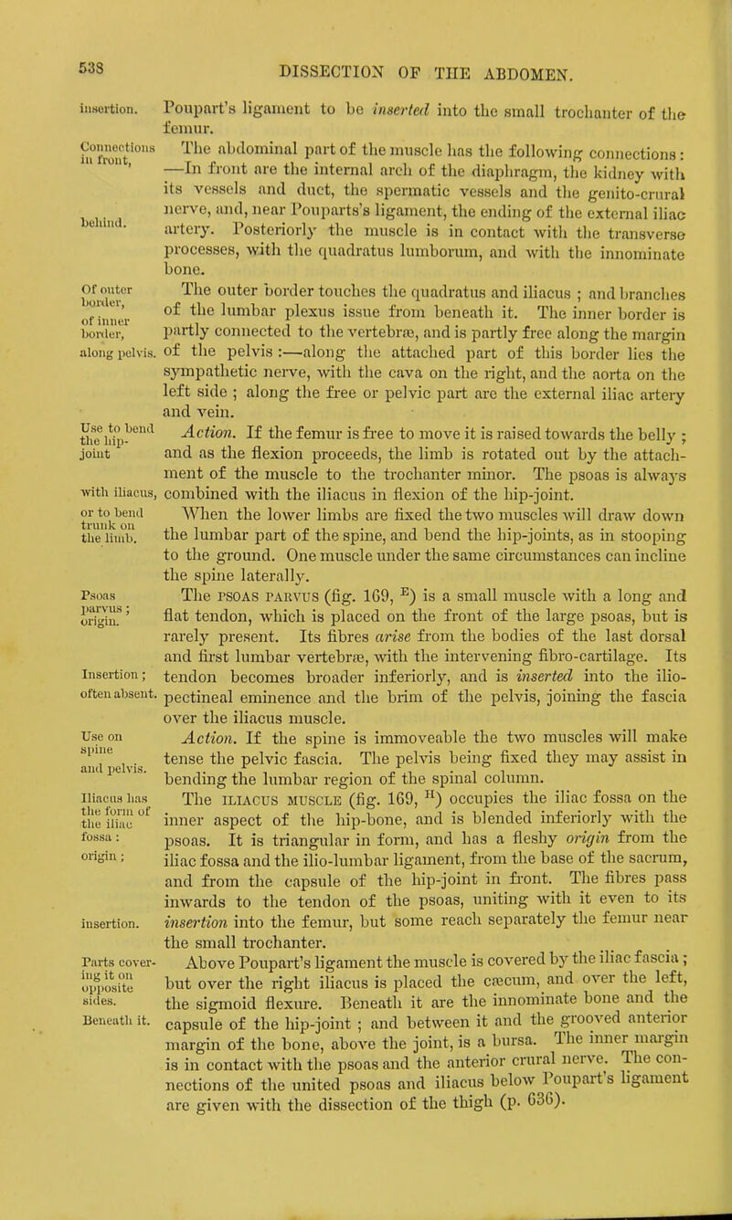iusui-tion. Connoctions in front, l)ehind. Of outer bonier, of inner bonier, along pelvis. Use to bend the hip- joint ■with iliacus, or to bend trunk on the limb. Psoas l)arvus; Insertion; often absent. Use ou siiine and pelvis. Iliaens has the form of the iliiiu fossa : origin; insertion. Parts cover- ing it on opi)osite sides. Beneath it. Poupart'8 ligament to be inserted into the small trochanter of the femur. The abdominal part of the muscle has the following connections: —In front are the internal arcli of the diaphragm, the kidney with its vessels and duct, the spermatic vessels and the genito-crural nei-ve, and, near Pouparts's ligament, the ending of tiie external iliac artery. Posteriorly the muscle is in contact with the transverse processes, with the quadratus lumborum, and with the innominate bone. The outer border touches the quadratus and iliacus ; and branches of the lumbar plexus issue from beneath it. The inner border is partly connected to the vertebraj, and is partly free along the margin of the pelvis :—along tlie attached part of this border lies the sj^mpathetic neive, with the cava on the right, and the aorta on the left side ; along the free or pelvic part are the external iliac arteiy and vein. Action. If the femur is fi-ee to move it is raised towards the belly ; and as the flexion proceeds, the limb is rotated out by the attach- ment of the muscle to the trochanter minor. The psoas is always combined with the iliacus in flexion of the hip-joint. When the lower limbs are fixed the two muscles will draw down the lumbar part of the spine, and bend the hip-joints, as in stooping to the ground. One muscle under the same circumstances can incline the spijie lateral Ij-. The rsOAS tarvus (fig. 169, ^) is a small muscle with a long and flat tendon, which is placed on the front of the large psoas, but is rarely present. Its fibres arise from the bodies of the last dorsal and first lumbar vertebrje, with the intervening fibro-cartilage. Its tendon becomes broader inferiorly, and is inserted into the ilio- pectineal eminence and the brim of the pelvis, joining the fascia over tlie iliacus muscle. Action. If the spine is immoveable the two muscles will make tense the pelvic fascia. The pelvis being fixed they may assist in bending the lumbar region of the spinal column. The ILIACUS MUSCLE (fig. 169, ) occupies the iliac fossa on the inner aspect of the hip-bone, and is blended inferiorly with the psoas. It is triangular in form, and has a fleshy origin from the iliac fossa and the ilio-lumbar ligament, from the base of the sacram, and from the capsule of the hip-joint in fi-ont. The fibres pass inwards to the tendon of the psoas, uniting with it even to its insertion into the femur, but some reach separately the femur near the small trochanter. Above Poupart's ligament the muscle is covered by the iliac fascia; but over the right iliacus is placed the crecura, and over the left, the sigmoid flexure. Beneath it are the innominate bone and the capsule of the hip-joint ; and between it and the grooved anterior margin of the bone, above the joint, is a bursa. The nmer margm is in contact with the psoas and the anterior crural nerve, nections of the united psoas and iliacus below Poupart' are given with the dissection of the thigh (p. 636). The con- s ligament