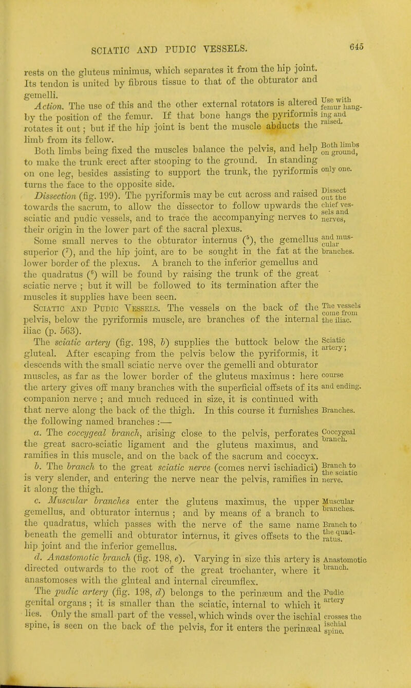 SCIATIC AND rUDIC VESSELS. rests on the gluteus minimus, which separates it from the hip jomt. Its tendon is united by fibrous tissue to that of the obturator and gemelli. ... Aciion. The use of this and the other external rotators is altered ^Jl^^^l'^ll^^. by the position of the femur. K that bone hangs the pyriformis i^n^^and rotates it out; but if the hip joint is bent the muscle abducts the limb from its fellow. Both hmbs being fixed the muscles balance the pelvis, and help ^groJiJi'd^ to make the trunk erect after stooping to the ground. In standing on one leg, besides assisting to support the trunk, the pyriformis only turns the face to the opposite side. Dissection (fig. 199). The pyriformis maybe cut across and raised ^.Jf^'^^g towards the sacrum, to allow the dissector to follow upwards the ciiief ves- ' , . , sels and sciatic and pudic vessels, and to trace the accompanymg nen^es to nerves, their origin in the lower part of the sacral plexus. Some small nerves to the obturator internus p, the gemellus '^^J^J.* supeiior ('), and the hip joint, are to be sought in the fat at the branches, lower border of the plexus. A branch to the inferior gemellus and the quadratus (^) will be found by raising the trunk of the great sciatic nerve ; but it will be followed to its termination after the muscles it supplies have been seen. ScuTic AND Pudic Vessels. The vessels on the back of the Tiie vessels . . coine from pehas, below the pyriformis muscle, are branches of the mtemal tiie mac. ihac (p. 563). The sciatic artei'y (fig. 198, V) supplies the buttock below the gluteal. After escaping fi-om the pelvis below the pyriformis, it' descends with the small sciatic nerve over the gemelli and obturator muscles, as far as the lower border of the gluteus maximus : here eom-se the artery gives off many branches with the superficial offsets of its ^■'i ending, companion nen^e ; and much reduced in size, it is continued with that nerve along the back of the thigh. In this course it furnishes Branches, the following named branches :— a. The coccygeal branch, arising close to the pehas, perforates the great sacro-sciatic ligament and the gluteus maximus, and ramifies in this muscle, and on the back of the sacrum and coccyx. b. The branch to the great sciatic nerve (comes nerAd ischiadici) Branch to 11 1 , • 1 . „ tl'P sciatic IS veiy slender, and enteiing the nen'-e near the pelvis, ramifies m nerve. it along the thigh. c. Muscular branches enter the gluteus maximus, the upper Muscular gemellus, and obturator internus ; and by means of a branch to the quadratus, which passes with the nerve of the same name Branch to beneath the gemelli and obturator internus, it gives offsets to the Jatus!^'^' hip joint and the inferior gemellus. d. Anastomotic branch (fig. 198, e). Varying in size this artery is Anastomotic directed outwards to the root of the great ti-ochanter, where it ^''™«1'- anastomoses with the gluteal and internal circumflex. The pudic artery (fig. 198, d) belongs to the perinfcum and the Pu^ie genital organs ; it is smaller than the sciatic, internal to which it ''^ lies. Only the small part of the vessel, which winds over the ischial crosses the spine, is seen on the back of the pelvis, for it enters the perinaial 'i^^^