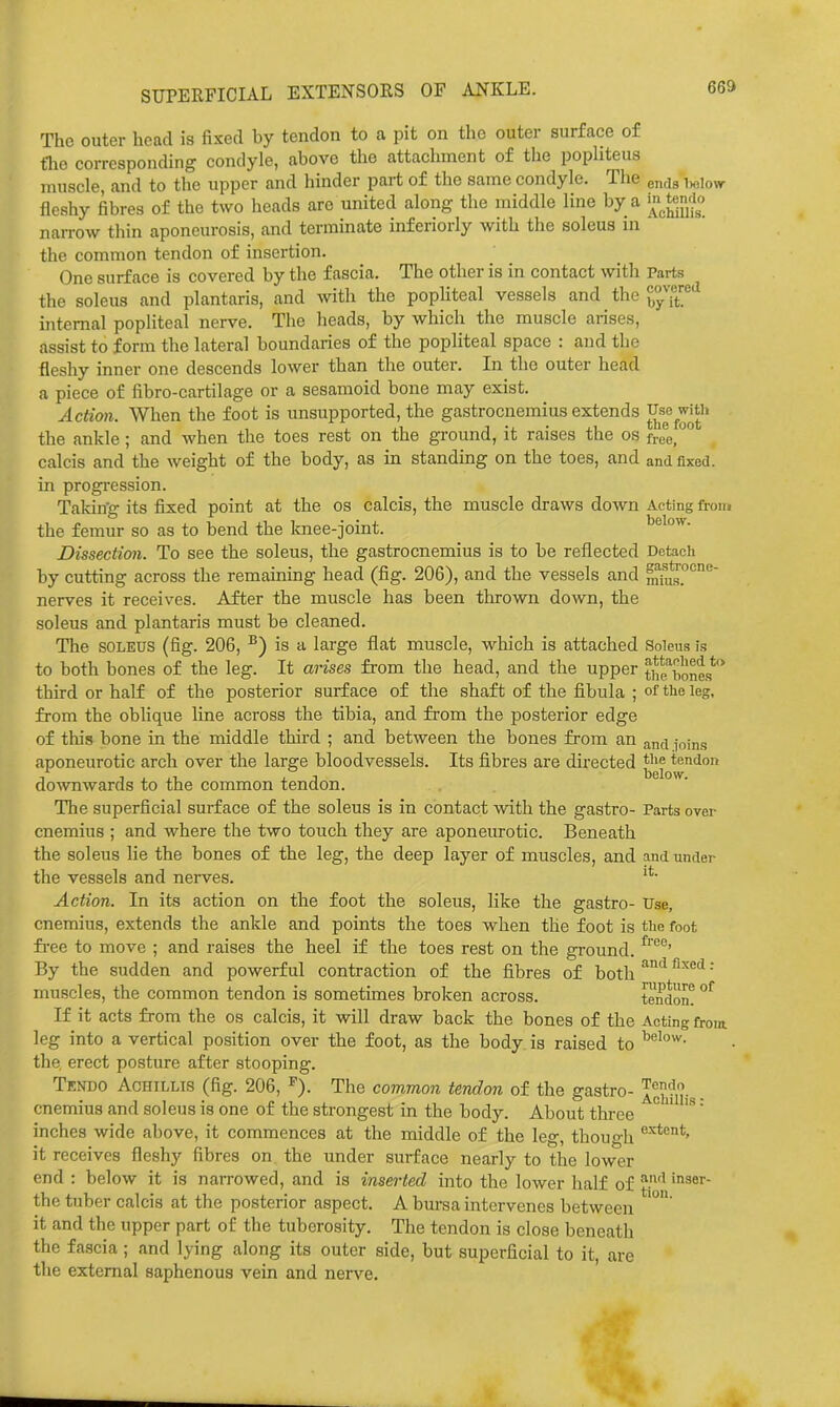 SUPERFICIAL EXTENSORS OF ANKLE. The outer head is fixed by tendon to a pit on the outer surface o£ fhc corresponding condyle, above the attachment of the pophteus muscle, and to the upper and hinder part of the same condyle. The e^jg fleshy fibres of the two heads are united along the middle line t>y a ^'^^^o narrow tliin aponeurosis, and terminate inferiorly with the soleus in the common tendon of insertion. One surface is covered by the fascia. The other is in contact with Parts the soleus and plantaris, and with the popliteal vessels and the ^7^!'^ internal popliteal nerve. The heads, by which the muscle arises, assist to form the lateral boundaries of the popliteal space : and the fleshy inner one descends lower than the outer. In the outer head a piece of fibro-cartilage or a sesamoid bone may exist. Action. When the foot is unsupported, the gastrocnemius extends Jj^^^^j,^^*'' the ankle; and when the toes rest on the ground, it raises the os free, calcis and the weight of the body, as in standing on the toes, and and fixed, in progression. Takin'g its fixed point at the os calcis, the muscle draws down Acting from the femur so as to bend the Imee-joint. below. Dissection. To see the soleus, the gastrocnemius is to be reflected Detach by cutting across the remaining head (fig. 206), and the vessels and mfu^°°°^ nerves it receives. After the muscle has been thrown down, the soleus and plantaris must be cleaned. The SOLEUS (fig. 206, ^) is a large flat muscle, which is attached Soleus is to both bones of the leg. It arises from the head, and the upper tiuf^^ones*** third or half of the posterior surface of the shaft of the fibula ; of the leg, from the oblique line across the tibia, and from the posterior edge of this bone in the middle thii'd ; and between the bones from an and joins aponeurotic arch over the large bloodvessels. Its fibres are directed tendon downwards to the common tendon. The superficial surface of the soleus is in contact with the gastro- Parts over cnemius ; and where the two touch they are aponeurotic. Beneath the soleus lie the bones of the leg, the deep layer of muscles, and and under the vessels and nerves. Action. In its action on the foot the soleus, like the gastro- Use, cnemius, extends the ankle and points the toes when the foot is the foot fi-ee to move ; and raises the heel if the toes rest on the ground. By the sudden and powerful contraction of the fibres of both '^ '^'^ muscles, the common tendon is sometimes broken across. tendon! °^ If it acts from the os calcis, it will draw back the bones of the Acting from leg into a vertical position over the foot, as the body is raised to the erect posture after stooping. Tendo Achillis (fig. 206, ^). The common tendon of the gastro- . cnemius and soleus is one of the strongest in the body. About thi-ee ° '  inches wide above, it commences at the middle of the leg, though it receives fleshy fibres on the under surface nearly to the lower end : below it is narrowed, and is inserted into the lower half of the tuber calcis at the posterior aspect. A bursa intervenes between it and the upper part of the tuberosity. The tendon is close beneath the fascia ; and lying along its outer side, but superficial to it, are the external saphenous vein and ner\'-e.