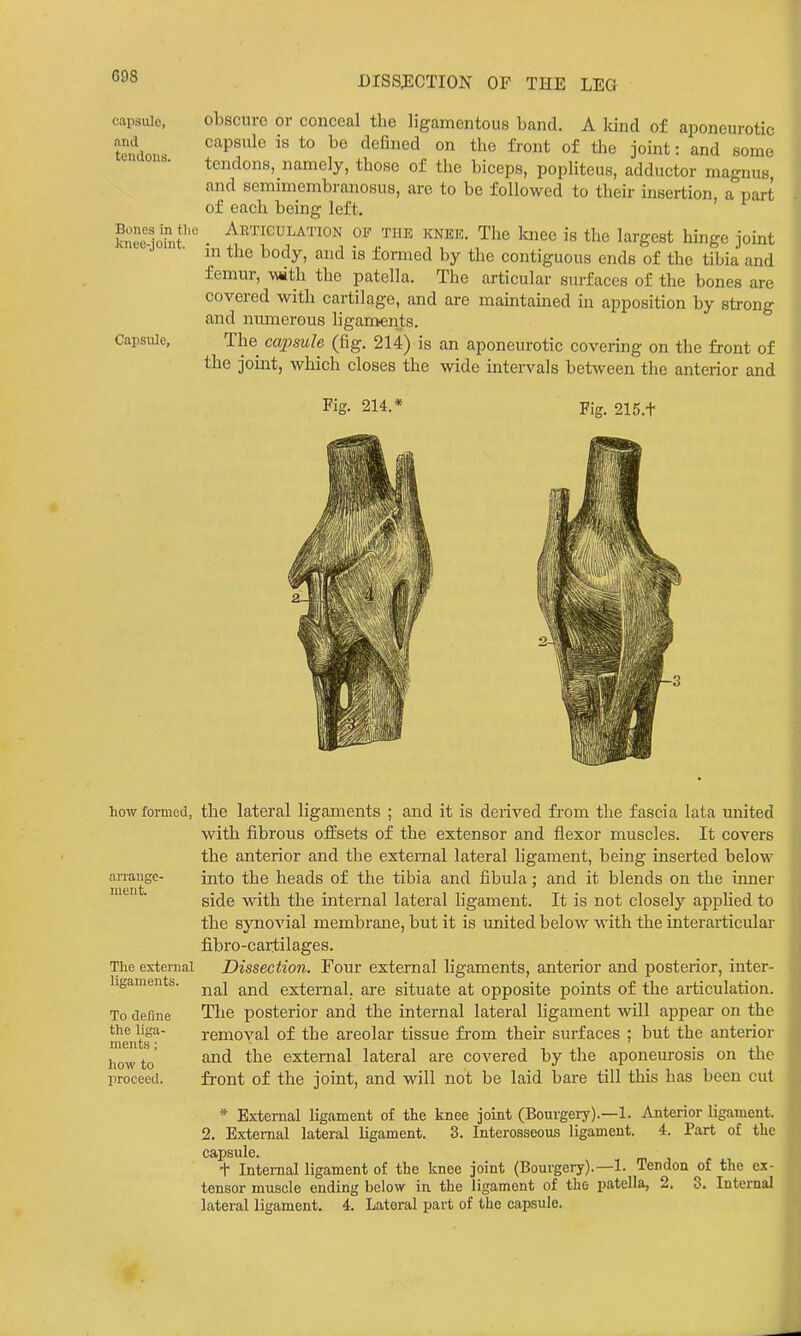 capsule, and tendons. Bones in tlio knco-joint. Capsule, obscure or conceal the ligamentous band. A Idnd of aponeurotic capsule is to be defined on the front of the joint: and some tendons, namely, those of the biceps, popliteus, adductor magnus and semimembranosus, are to be followed to their insertion, a part of each being left. Articulation of the knek. The knee is the largest hinge joint m the body, and is formed by the contiguous ends of the tibia and femur, \wth the patella. The articular surfaces of the bones are covered with cartilage, and are maintained in apposition by strong and numerous ligan:ients. The capsule (fig. 214) is an aponeurotic covering on the front of the joint, which closes the wide intervals between the anterior and Fig. 214. Fig. 215.+ arrange' ment. how formed, the lateral ligaments ; and it is derived fi-om the fascia lata united with fibrous ofEsets of the extensor and flexor muscles. It covers the anterior and the external lateral hgament, being inserted below into the heads of the tibia and fibula; and it blends on the inner side with the internal lateral ligament. It is not closely apphed to the synovial membrane, but it is united below with the interarticular fibro-cartilages. Dissection. Four external ligaments, anterior and posterior, inter- nal and external, are situate at opposite points of the articulation. The posterior and the internal lateral ligament will appear on the removal of the areolar tissue fi'om their surfaces ; but the anterior and the external lateral are covered by the aponeurosis on the front of the joint, and will not be laid bare till this has been cut The external ligaments. To define the liga- ments ; how to proceed. * External ligament of the knee joint (Bourgery).—1. Anterior ligament. 2. External lateral ligament. 3. Interosseous ligament. 4. Part of the C3iiJ)Su1g t Internal ligament of the knee joint (Bourgery).—!. Tendon of the ex- tensor muscle ending below in the ligament of the patella, 2. 3. Internal lateral ligament. 4. Lateral part of the capsule.