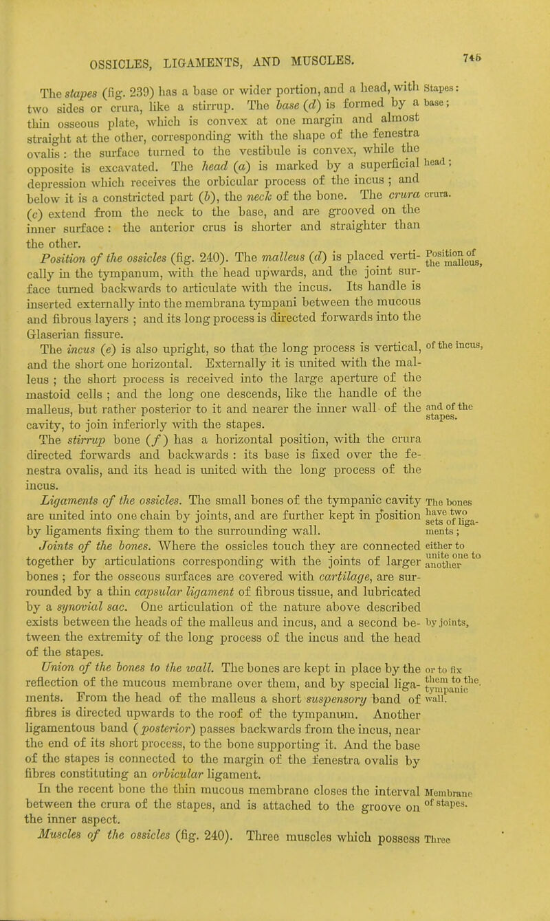OSSICLES, LIGAMENTS, AND MUSCLES. 746 The stapes (fig. 239) has a base or wider portion, and a head, with stapes: two sides or crura, Hke a stirrup. The lase (d) is formed by abase; thin osseous plate, which is convex at one margin and almost straight at the other, corresponding with the shape of the fenestra ovahs : the surface turned to the vestibule is convex, while the opposite is excavated. The head (a) is marked by a superficial head; depression which receives the orbicular process of the incus ; and below it is a constricted part (&), the nech of the bone. The crura crura, (c) extend from the neck to the base, and are grooved on the inner surface : the anterior crus is shorter and straighter than the other. Position of the ossicles (fig. 240). The malleus (d) is placed verti- cally in the tympanum, with the bead upwards, and the joint sur- face turned backwards to articulate with the incus. Its handle is inserted externally into the membrana tympani between the mucous and fibrous layers ; and its long process is directed f oi-wards into the Glaserian fissure. The incus (e) is also upright, so that the long process is vertical, of the incus, and the short one horizontal. Externally it is united with the mal- leus ; the short process is received into the large aperture of the mastoid cells ; and the long one descends, like the handle of the malleus, but rather posterior to it and nearer the inner wall of the and of the ...p-i -ill i stapes, cavity, to ]oin inienorly with the stapes. The stirrup bone (/) has a homontal position, with the crura directed forwards and backwards : its base is fixed over the fe- nestra ovahs, and its head is united with the long process of the incus. Ligaments of the ossicles. The small bones of the tympanic cavity The bones are united into one chain by joints, and are further kept in p^osition gptl'^o^iiga- by hgaments fixing them to the surrounding wall. ments; Joints of the bones. Where the ossicles touch they are connected either to together by articulations corresponding with the joints of larger another ^ bones ; for the osseous surfaces are covered with cartilage, are sur- roimded by a thin capsular ligament of fibrous tissue, and lubricated by a synovial sac. One articulation of the nature above described exists between the heads of the malleus and incus, and a second be- by joints, tween the extremity of the long process of the incus and the head of the stapes. Union of the hones to the wall. The bones are kept in place by the or to fix reflection of the mucous membrane over them, and by special liga- tympanic ments. From the head of the malleus a short suspensory band of wall, fibres is directed upwards to the roof of the tympanum. Another ligamentous band {posterior) passes backwards from the incus, near the end of its short process, to the bone supporting it. And the base of the stapes is connected to the margin of the fenestra ovalis by fibres constituting an orbicular ligament. In the recent bone the tliin mucous membrane closes the interval Membrane between the crura of the stapes, and is attached to the groove on °^ ^*^>Pes. the inner aspect. Muscles of the ossicles (fig. 240). Tliree muscles which possess Three
