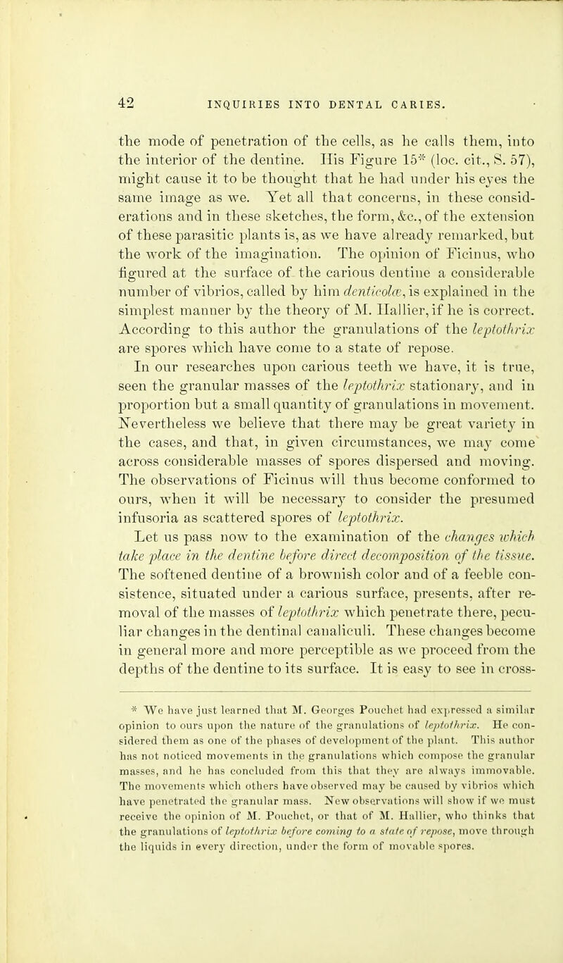 the mode of penetration of the cells, as he calls them, into the interior of the dentine. His Figure 16* (loc. cit., S. 57), might cause it to be thought that he had under his eyes the same image as we. Yet all that concerns, in these consid- erations and in these sketches, the form, &c., of the extension of these parasitic plants is, as we have already remarked, but the work of the imagination. The opinion of Ficinus, who figured at the surface of the carious dentine a considerable number of vibrios, called by him denticolo', is explained in the simplest manner by the theory of M. Ilallier, if he is correct. According to this author the granulations of the leptothrix are spores which have come to a state of repose. In our researches upon carious teeth we have, it is true, seen the granular masses of the leptothrix stationary, and in projwrtion but a small quantity of granulations in movement. !Nevertheless we believe that there may be great variety in the cases, and that, in given circumstances, we may come across considerable masses of spores dispersed and moving. The observations of Ficinus will thus become conformed to ours, when it will be necessary to consider the presumed infusoria as scattered spores of leptothrix. Let us pass now to the examination of the changes which take place in the dentine before direct decomposition of the tissue. The softened dentine of a brownish color and of a feeble con- sistence, situated under a carious surface, presents, after re- moval of the masses of leptothrix which penetrate there, pecu- liar changes in the dentinal canaliculi. These changes become in general more and more perceptible as we proceed from the dejiths of the dentine to its surface. It is easy to see in cross- * We have just learned that M. Georges Pouchet had expressed a similar opinion to ours upon the nature of the granulations of leptoUirix. He con- sidered them as one of the phases of development of the plant. This author has not noticed movements in the granulations which compose the granular masses, and he has concluded from this that they are always imniovahle. The movements which others have observed may be caused by vibrios wliich have penetrated the granular mass. New observations will show if we must receive the opinion of M. Pouchet, or that of M. Hallier, who thinks that the granulations of leptothi-ix before coming to a sfate of repose, move through the liquids in ever}- direction, under the form of movable spores.