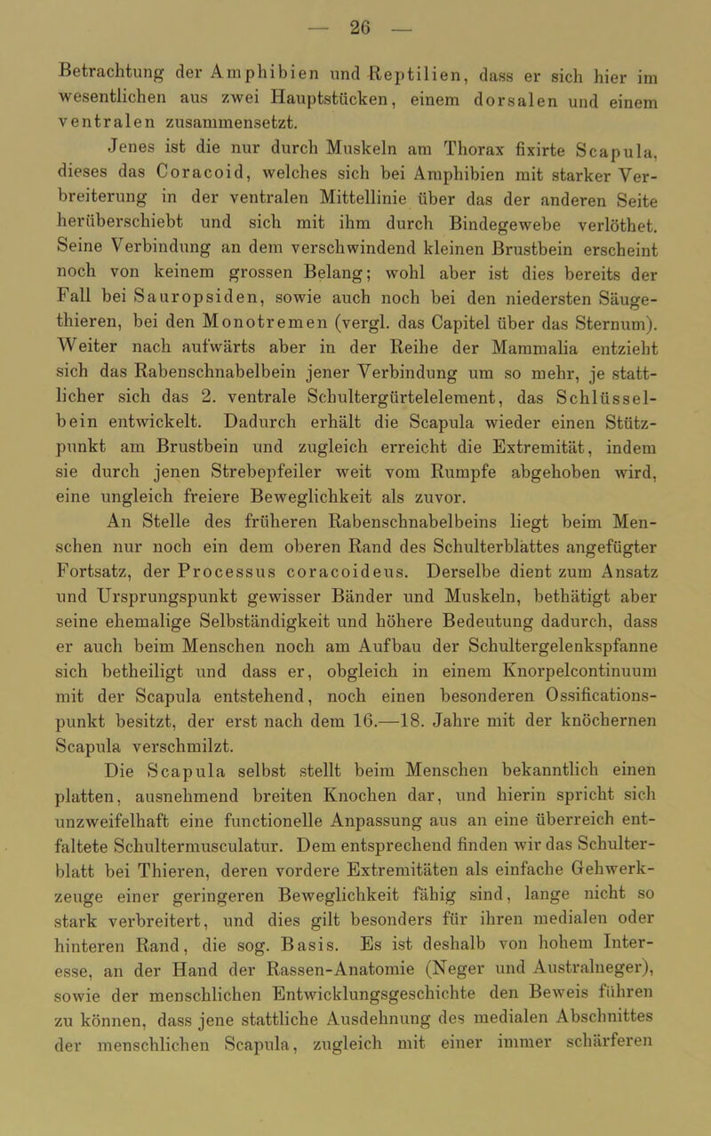 Betrachtung der Amphibien und Reptilien, dass er sich hier im wesentlichen aus zwei Hauptstücken, einem dorsalen und einem ventralen zusammensetzt. Jenes ist die nur durch Muskeln am Thorax fixirte Scapula, dieses das Coracoid, welches sich bei Amphibien mit starker Ver- breiterung in der ventralen Mittellinie über das der anderen Seite herüberschiebt und sich mit ihm durch Bindegewebe verlöthet. Seine Verbindung an dem verschwindend kleinen Brustbein erscheint noch von keinem grossen Belang; wohl aber ist dies bereits der Fall bei S auropsiden, sowie auch noch bei den niedersten Säuge- thieren, bei den Monotremen (vergl. das Capitel über das Sternum). Weiter nach aufwärts aber in der Reihe der Mammalia entzieht sich das Rabenschnabelbein jener Verbindung um so mehr, je statt- licher sich das 2. ventrale Schultergürtelelement, das Schlüssel- bein entwickelt. Dadurch erhält die Scapula wieder einen Stütz- punkt am Brustbein und zugleich erreicht die Extremität, indem sie durch jenen Strebepfeiler weit vom Rumpfe abgehoben wird, eine imgleich freiere Beweglichkeit als zuvor. An Stelle des früheren Rabenschnabelbeins liegt beim Men- schen nur noch ein dem oberen Rand des Schulterblattes angefügter Fortsatz, der Processus coracoideus. Derselbe dient zum Ansatz und Ursprungspunkt gewisser Bänder und Muskeln, bethätigt aber seine ehemalige Selbständigkeit und höhere Bedeutung dadurch, dass er auch beim Menschen noch am Aufbau der Schultergelenkspfanne sich betheiligt und dass er, obgleich in einem Knorpelcontinuum mit der Scapula entstehend, noch einen besonderen Ossifications- punkt besitzt, der erst nach dem 16.—18. Jahre mit der knöchernen Scapula verschmilzt. Die Scapula selbst stellt beim Menschen bekanntlich einen platten, ausnehmend breiten Knochen dar, und hierin spricht sich unzweifelhaft eine functioneile Anpassung aus an eine überreich ent- faltete Schultermusculatur. Dem entsprechend finden wir das Schulter- blatt bei Thieren, deren vordere Extremitäten als einfache Gehwerk- zeuge einer geringeren Beweglichkeit fähig sind, lange nicht so stark verbreitert, und dies gilt besonders für ihren medialen oder hinteren Rand, die sog. Basis. Es ist deshalb von hohem Inter- esse, an der Hand der Rassen-Anatomie (Neger und Australneger), sowie der menschlichen Entwicklungsgeschichte den Beweis führen zu können, dass jene stattliche Ausdehnung des medialen Abschnittes der menschlichen Scapula, zugleich mit einer immer schärferen