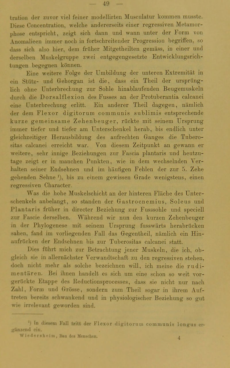 40 tration der zuvor viel feiner modellirten Musculatur kommen musste. Diese Concentration, welche andererseits einer regressiven Metamor- phose entspricht, zeigt sich dann und wann unter der Form von Anoiualieen immer noch in fortschreitender Progression begriffen, so dass sich also hier, dem früher Mitgetheilten gemäss, in einer und derselben Muskelgruppe zwei entgegengesetzte Entwicklungsrich- tungen begegnen können. Eine weitere Folge der Umbildung der unteren Extremität in ein Stütz- und Gehorgan ist die, dass ein Theil der ursprüng- lich ohne Unterbrechung zur Sohle hinablaufenden Beugemuskeln durch die Dorsalflexion des Fusses an der Protuberantia calcanei eine Unterbrechung erlitt. Ein anderer Theil dagegen, nämlich der dem Flexor digitorum communis sublimis entsprechende kurze gemeinsame Zehenbeuger, rückte mit seinem Ursprung immer tiefer und tiefer am Unterschenkel herab, bis endlich unter gleichzeitiger Herausbildung des aufrechten Ganges die Tubero- sitas calcanei erreicht war. Von diesem Zeitpunkt an gewann er weitere, sehr innige Beziehungen zur Fascia plantaris und heutzu- tage zeigt er in manchen Punkten, wie in dem wechselnden Ver- halten seiner Endsehnen und im häufigen Fehlen der zur 5. Zehe gehenden Sehne J), bis zu einem gewissen Grade wenigstens, einen regressiven Character. Was die hohe Muskelschicht an der hinteren Fläche des Unter- schenkels anbelangt, so standen der Gastrocnemius, Soleus und Plantaris früher in directer Beziehung zur Fusssohle und speciell zur Fascie derselben. Während wir nun den kurzen Zehenbeuger in der Phylogenese mit seinem Ursprung fusswärts herabrücken sahen, fand im vorliegenden Fall das Gegentheil, nämlich ein Hin- aufrücken der Endsehnen bis zur Tuberositas calcanei statt. Dies führt mich zur Betrachtung jener Muskeln, die ich, ob- gleich sie in allernächster Verwandtschaft zu den regressiven stehen, doch nicht mehr als solche bezeichnen will, ich meine die rudi- mentären. Bei ihnen handelt es sich um eine schon so weit Aror- gerückte Etappe des Reductionsprocesses, dass sie nicht nur nach Zahl, Form und Grösse, sondern zum Theil sogar in ihrem Auf- treten bereits schwankend und in physiologischer Beziehung so gut wie irrelevant geworden sind. In diesem Fall tritt der Flexor digitoruui communis longus er- gänzend ein. Wledersheim, Bau Um Menschen. 4