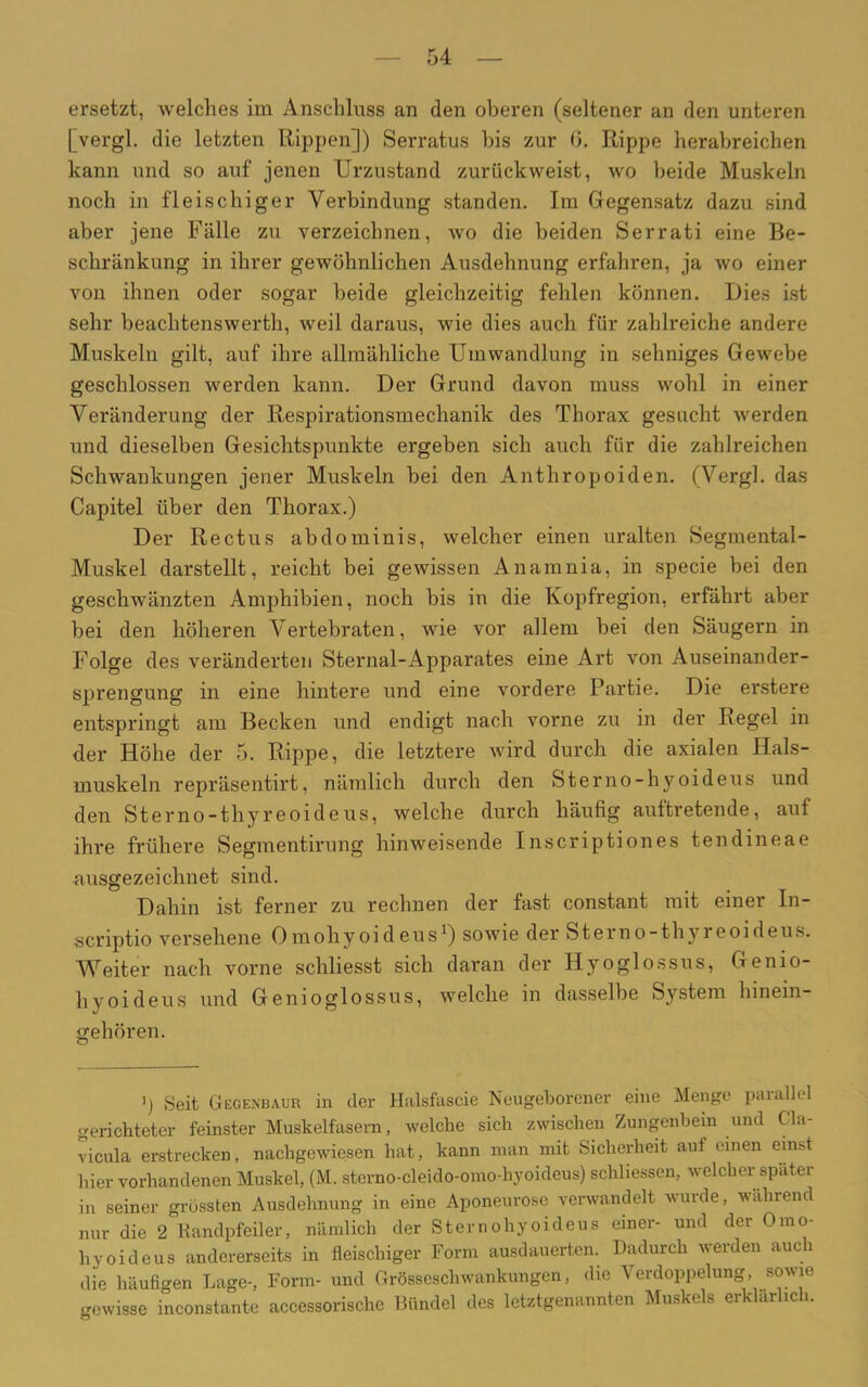 ersetzt, welches im Anschluss an den oberen (seltener an den unteren [vergl. die letzten Rippen]) Serratus bis zur 6. Rippe herabreichen kann und so auf jenen Urzustand zurückweist, wo beide Muskeln noch in fleischiger Verbindung standen. Im Gegensatz dazu sind aber jene Fälle zu verzeichnen, avo die beiden Serrati eine Be- schränkung in ihrer gewöhnlichen Ausdehnung erfahren, ja wo einer von ihnen oder sogar beide gleichzeitig fehlen können. Dies ist sehr beaclitenswerth, weil daraus, wie dies auch für zahlreiche andere Muskeln gilt, auf ihre allmähliche Umwandlung in sehniges Gewebe geschlossen werden kann. Der Grund davon muss wohl in einer Veränderung der Respirationsmechanik des Thorax gesucht werden und dieselben Gesichtspunkte ergeben sich auch für die zahlreichen Schwankungen jener Muskeln bei den Anthropoiden. (Vergl. das Capitel über den Thorax.) Der Rectus abdominis, welcher einen uralten Segmental- Muskel darstellt, reicht bei gewissen Anamnia, in specie bei den geschwänzten Amphibien, noch bis in die Kopfregion, erfährt aber bei den höheren Vertebraten, wie vor allem bei den Säugern in Folge des veränderten Sternal-Apparates eine Art von Auseinander- sprengung in eine hintere und eine vordere Partie. Die erstere entspringt am Becken und endigt nach vorne zu in der Regel in der Höhe der 5. Rippe, die letztere wird durch die axialen Hals- muskeln repräsentirt, nämlich durch den Sterno-hyoideus und den Sterno-thyreoideus, welche durch häufig aultretende, auf ihre frühere Segmentirung hinweisende Inscriptiones tendineae ausgezeichnet sind. Dahin ist ferner zu rechnen der fast constant mit einer In- scriptio versehene 0 mohy oi d eu s *) sowie der Stern o-thyreoi deus. Weiter nach vorne schliesst sich daran der Hyoglossus, Genio- hyoideus und Genioglossus, welche in dasselbe System hinein- gehören. >) Seit Gecenbaur in der Halsfascie Neugeborener eine Menge parallel gerichteter feinster Muskelfasern, welche sich zwischen Zungenbein und Cla- vicula erstrecken, nachgewiesen hat, kann man mit Sicherheit auf einen einst hier vorhandenen Muskel, (M. sterno-cleido-omo-hyoideus) schliessen, welcher spätei in seiner grössten Ausdehnung in eine Aponeurose verwandelt wurde, während nur die 2 Randpfeiler, nämlich der Sternohyoideus einer- und der Oino- hyoideus andererseits in fleischiger Form ausdauerten. Dadurch werden auch die häufigen Lage-, Form- und Grösseschwankungen, die Verdoppelung, sowie gewisse inconstante accessorische Bündel des letztgenannten Muskels erklärlich.