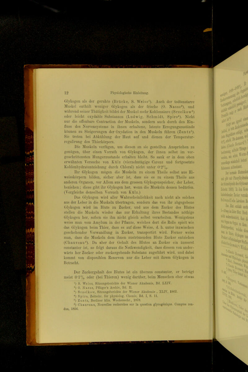 Glykogen als dei’ geruhte (Brücke, S. Weiss*). Auch der todtenstarre Muskel enthält weniger Glykogen als der frische (0. Nasse^), und während seiner Tüätigkeit bildet der Muskel mehr Kohlensäure (Sczelkow^j oder leicht oxydable Substanzen (Ludwig, Schmidt, Spiro‘‘). Nicht nur die offenbare Contraction der Muskeln, sondern auch durch den Ein- fluss des Nervensystems in ihnen erhaltene, latente Erregungszustände können zu Steigerungen der Oxydation in den Muskeln führen (Zuntz-’’). Sie treten bei Abkühlung der Haut auf und dienen der Temperatur- regulirung des Thierkörpers. Die Muskeln verfügen, um diesen an sie gestellten Ansprüchen zu genügen, über einen Vorrath von Glykogen, der ihnen selbst im vor- geschrittensten Hungerzustande erhalten bleibt. So sank er in dem oben erwähnten Versuche von Külz (vierzehntägige Carenz und fortgesetzte Kohlenhydratentziehung durch Chloral) nicht unter 0’27o. Ihr Glykogen mögen die Muskeln zu einem Theile selbst aus Ei- weisskörpern bilden, sicher aber ist, dass sie es zu einem Theile aus anderen Organen, vor Allem aus dem grossen Glykogenspeicher, der Leber, beziehen; diese gibt ihr Glykogen her, wenn die Muskeln dessen bedürfen. (Vergleiche denselben Versuch von Külz.) Das Glykogen wird aller Wahrscheinlichkeit nach nicht als solches aus der Leber in die Muskeln übertragen, sondern das von ihr abgegebene Glykogen wird im Blute zu Zucker, und aus dem Zucker des Blutes stellen die Muskeln wieder das zur Erhaltung ihres Bestandes nöthige Glykogen her, sofern sie ihn nicht gleich selbst verarbeiten. Wenigstens weiss man vom Amylum in der Pflanze, welches dort die Eolle spielt wie das Glykogen beim Thier, dass es auf diese Weise, d. h. unter inzwischen geschehender Verwandlung in Zucker, transportirt wird. Ferner weiss man, dass die Muskeln dem ihnen zuströmenden Blute Zucker entziehen (Ohauveau®). Da aber der Gehalt des Blutes an Zucker ein äusserst constanter ist, so folgt daraus die Nothwendigkeit, dass diesem von ander- wärts her Zucker oder zuckergebende Substanz zugeführt wird, und dabei kommt von disponiblen Eeserven nur die Leber mit ihrem Glykogen in Betracht. Der Zuckergehalt des Blutes ist ein überaus constanter, er beträgt meist 0‘17o oder (bei Thieren) wenig darüber, beim Menschen eher etwas ’) S. Weiss, Sitzungsbericlite der Wiener Akademie, Bd. LXIV. 0 0. Nasse, Pfliiger’s Archiv, Bd. II. 0 Sezelkow, Sitzungsberichte der Wiener Akademie , XLIV, 1802. ■*) Spiro, Zeitsehr. für physiolog. Chemie, Bd. I, S. 11. D Zuntz, Berliner klin. Wochenschr., 1878. ®) Ohauveau, Nouvelles rechorches sur la question glyeogenique. Comptes ren- dus, 1856.
