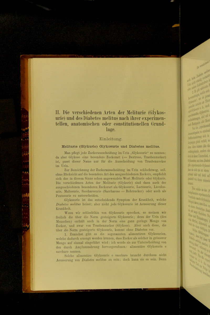 II. Die verscliiedenen Arten der Melitiirie (Glykos- nrie) und des Diabetes melitns nacli ilirer experimen- tellen, anatoinisclien oder constitntionellen Grund- lage. Einleitung. Meliturie (Glykurie) Glykosurie und Diabetes melitus. Man pflegt jede Zuckeraiissclieidung im Urin „Glykosurie“ zu nennen; da aber Glykose eine besondere Zuckerart (= Dextrose, Traubenzucker) ist, passt dieser Name nur für die Ausscheidung von Traubenzucker im Urin. Zur Bezeichnung der Zuckerausscheidung im Urin schlechtweg, seil, ohne Eücksicht auf die besondere Art des ausgeschiedenen Zuckers, empfiehlt sich das in diesem Sinne schon angewendete Wort Meliturie oder Glykurie. Die verschiedenen Arten der Meliturie (Glykurie) sind dann nach der ausgeschiedenen besonderen Zuckerart als Glykosurie, Lactosurie, Lävulos- urie, Maltosurie, Saccharosurie (Saccharose Eohrzucker) oder auch als Pentosurie zu unterscheiden. Glykosurie ist das entscheidende Symptom der Krankheit, welche Diabetes melitus heisst; aber nicht jede Glykosurie ist Aeusserung dieser Krankheit. Wenn wir schlechthin von Glykosurie sprechen, so meinen wir freilich die über die Norm gesteigerte Glykosurie; denn der Urin (des Menschen) enthält auch in der Norm eine ganz geringe l\Ienge von Zucker, und zwar von Traubenzucker (Glykose). Aber auch diese, die über die Norm gesteigerte Glykosurie, kommt ohne Diabetes vor. 1. Zunächst gibt es die sogenannten alimentären Glykosurien, welche dadurch erzeugt werden können, dass Zucker als solcher in grösserer Menge auf einmal eingeführt wird; ich werde sie zur Unterscheidung von den durch Amylumnahrung hervorgerufenen: alimentäre Glykosurie e saccharo nennen. Solche alimentäre Glykosurie e saccliaro braucht durchaus nicht Aeusserung von Diabetes melitus zu sein; doch kann sie es sein. Denn