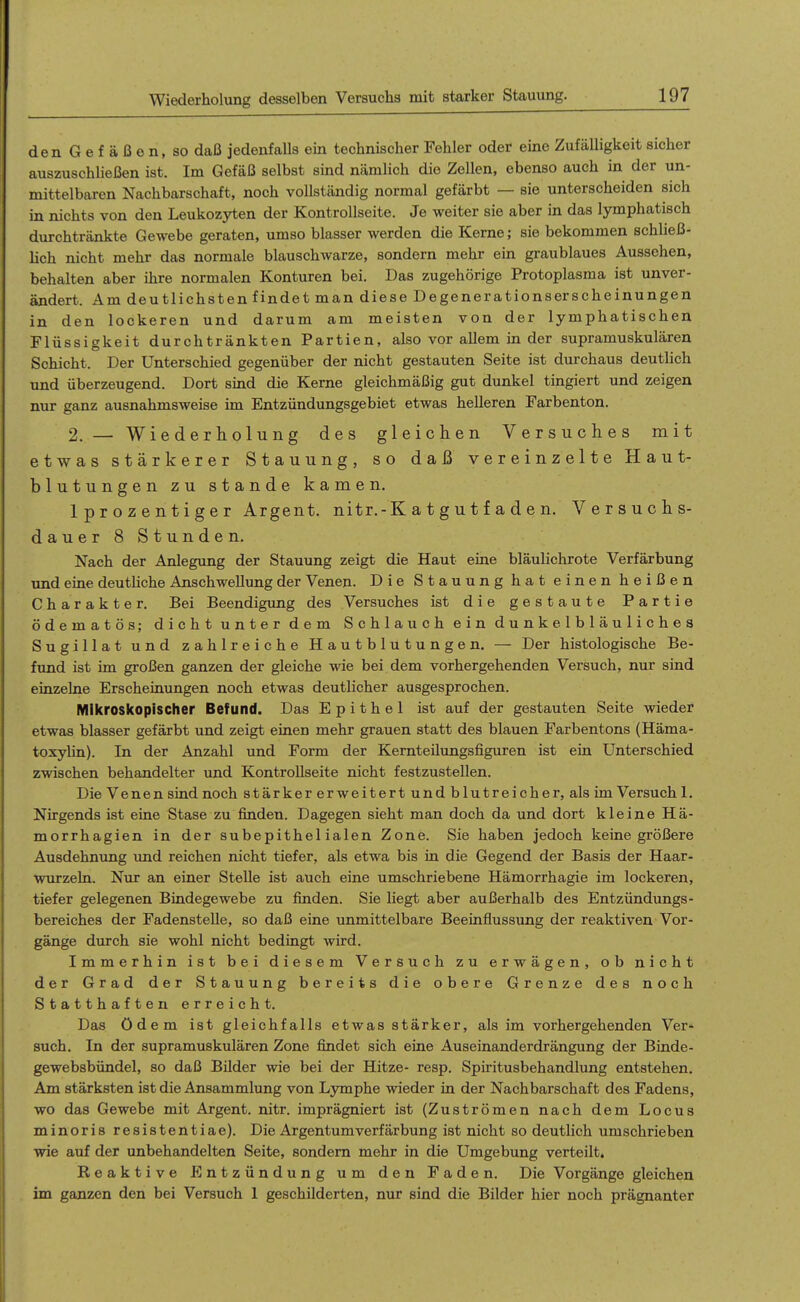 den G e f ä ß e n, so daß jedenfalls ein technischer Fehler oder eine Zufälligkeit sicher auszuschließen ist. Im Gefäß selbst sind nämlich die Zellen, ebenso auch in der un- mittelbaren Nachbarschaft, noch vollständig normal gefärbt — sie unterscheiden sich in nichts von den Leukozyten der Kontrollseite. Je weiter sie aber in das lymphatisch durchtränkte Gewebe geraten, umso blasser werden die Kerne; sie bekommen schließ- lich nicht mehr das normale blauschwarze, sondern mehr ein graublaues Aussehen, behalten aber ihre normalen Konturen bei. Das zugehörige Protoplasma ist unver- ändert. Am deutlichsten findet man diese Degenerationserscheinungen in den lockeren und darum am meisten von der lymphatischen Flüssigkeit durchtränkten Partien, also vor allem in der supramuskulären Schicht. Der Unterschied gegenüber der nicht gestauten Seite ist durchaus deutlich und überzeugend. Dort siud die Kerne gleichmäßig gut dunkel tingiert und zeigen nur ganz ausnahmsweise im Entzündungsgebiet etwas helleren Farbenton. 2. — Wiederholung des gleichen Versuches mit etwas stärkerer Stauung, so daß vereinzelte Haut- blutungenzustandekamen. Iprozentiger Argent. nitr.-K a t g u t f a d e n. Versuchs- dauer 8 Stunden. Nach der Anlegung der Stauung zeigt die Haut eine bläulichrote Verfärbung und eine deuthche Anschwellimg der Venen. Die Stauung hat einen heißen Charakter. Bei Beendigung des Versuches ist die gestaute Partie ödematös; dicht unter dem Schlauch ein dunkelbläuliches Sugillat und zahlreiche Hautblutungen. — Der histologische Be- fund ist im großen ganzen der gleiche wie bei dem vorhergehenden Versuch, nur sind einzelne Erscheinungen noch etwas deutlicher ausgesprochen. Mikroskopischer Befund. Das Epithel ist auf der gestauten Seite wieder etwas blasser gefärbt und zeigt einen mehr grauen statt des blauen Farbentons (Häma- toxylin). In der Anzahl und Form der Kernteilungsfiguren ist ein Unterschied zwischen behandelter und Kontrollseite nicht festzustellen. Die Venen sind noch stärker erweitert und blutreicher, als im Versuchl. Nirgends ist eine Stase zu finden. Dagegen sieht man doch da und dort kleine Hä- morrhagien in der subepithelialen Zone. Sie haben jedoch keine größere Ausdehnung und reichen nicht tiefer, als etwa bis in die Gegend der Basis der Haar- wurzeln. Nur an einer Stelle ist auch eine umschriebene Hämorrhagie im lockeren, tiefer gelegenen Bindegewebe zu finden. Sie liegt aber außerhalb des Entzündungs- bereiches der Fadenstelle, so daß eine unmittelbare Beeinflussung der reaktiven Vor- gänge durch sie wohl nicht bedingt wird. Immerhin ist bei diesem Versuch zu erwägen, ob nicht der Grad der Stauung bereits die obere Grenze des noch Statthaften erreicht. Das ödem ist gleichfalls etwas stärker, als im vorhergehenden Ver- such. In der supramuskulären Zone findet sich eine Auseinanderdrängung der Binde- gewebsbündel, so daß Bilder wie bei der Hitze- resp. Spiritusbehandlung entstehen. Am stärksten ist die Ansammlung von Lymphe wieder in der Nachbarschaft des Fadens, wo das Gewebe mit Argent. nitr. imprägniert ist (Zuströmen nach dem Locus minoris resistentiae). Die Argentumverfärbung ist nicht so deutlich umschrieben wie auf der unbehandelten Seite, sondern mehr in die Umgebung verteilt. Reaktive Plntzündung um den Faden. Die Vorgänge gleichen im ganzen den bei Versuch 1 geschilderten, nur sind die Bilder hier noch prägnanter