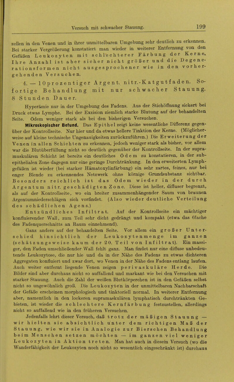 zeUen in den Venen und in ihrer unmittelbaren Umgebung sehr deutlich zu erkennen. Bei starker Vergrößerung konstatiert man wieder in weiterer Entfernung von den Gefäßen Leukozyten mit schl-echterer Färbung der Kerne. Ihre Anzahl ist aber sicher nicht größer und die Degene- rationsformen nicht ausgesprochener wie in den vorher- gehenden Versuchen. 4. — lOprozentiger Argent. nitr.-Katgutfaden. So- fortige Behandlung mit nur schwaclier Stauung. 8 Stunden Dauer. Hyperämie nur in der Umgebung des Fadens. Aus der Stichöffnung sickert bei Druck etwas Lymphe. Bei der Exzision ziemUch starke Blutung auf der behandelten Seite, ödem weniger stark als bei den bisherigen Versuchen. Mikroskopischer Befund. Das Epithel zeigt keine wesenthche Differenz gegen- über der Kontrollseite. Nur hier und da etwas hellere Tinktion der Kerne. (Möglicher- weise auf kleine technische Ungenauigkeiten zurückzuführen.) Die Erweiterung der Venen in allen Schichten zu erkennen, jedoch weniger stark als bisher, vor allem war die Blutüberfüllung nicht so deuthch gegenüber der Kontrollseite. In der supra- muskulären Schicht ist bereits ein deutliches ödem zu konstatieren, in der sub- epithehalen Zone dagegen nur eine geringe Durchtränkung. In den erweiterten Lymph- gefäßen ist wieder (bei starker Hämatoxylinfärbung) ehi sehr zartes, feines, nur bei enger Blende zu erkennendes Netzwerk ohne körnige Grundsubstanz sichtbar. Besonders reichlich ist das ödem wieder in der durch Argentum nitr. geschädigten Zone. Diese ist heller, diffuser begrenzt, als auf der Kontrollseite, wo ein breiter zusammenhängender Saum von braunen Argentumniederschlägen sich vorfindet. (Also wieder deutliche Verteilung des schädlichen Agens.) Entzündliches Infiltrat. Auf der Kontrollseite ein mächtiger konfluierender Wall, zum Teil sehr dicht gedrängt und kompakt (etwa das 6fache des Fadenquerschnitts an Raum einnehmend). Ganz anders auf der behandelten Seite. Vor allem ein großer Unter- schied hinsichtlich der L e u k o z y t e n m e n g e im ganzen (schätzungsweise kaum der 2 0. Teil von Infiltrat). Ein massi- ger, den Faden umschließender Wall fehlt ganz. Man findet nur eine diffuse unbedeu- tende Leukozytose, die nur hie und da in der Nähe des Fadens zu etwas dichteren Aggregaten konfluiert und zwar dort, wo Venen in der Nähe des Fadens entlang laufen. Auch weiter entfernt liegende Venen zeigen perivaskuläre Herde. Die BUder sind aber durchaus nicht so auffallend und markant wie bei den Versuchen mit starker Stauung. Auch die Zahl der weißen Blutkörperchen ist in den Gefäßen selbst nicht so ungewöhnlich groß. Die Leukozyten in der immittelbaren Nachbarschaft der Gefäße erscheinen morphologisch und tinktoriell normal. In weiterer Entfernung aber, namentlich in den lockeren supramaskulären lymphatisch durchtränkten Ge- bieten, ist wieder die schlechtere Kernfärbung festzustellen, allerdings nicht so auffallend wie in den früheren Versuchen. Jedenfalls lehrt dieser Versuch, daß trotz der mäßigen Stauung — wir hielten sie absichtlich unter dem richtigen Maß der Stauung, wie wir sie in Analogie zur Bierschen Behandlung beim Menschen setzen möchten — im ganzen viel weniger Leukozyten in Aktion treten. Man hat auch in diesem Versuch (wo die Wanderfähigkeit der Leukozyten noch nicht so wesentlich eingeschränkt ist) durchaus