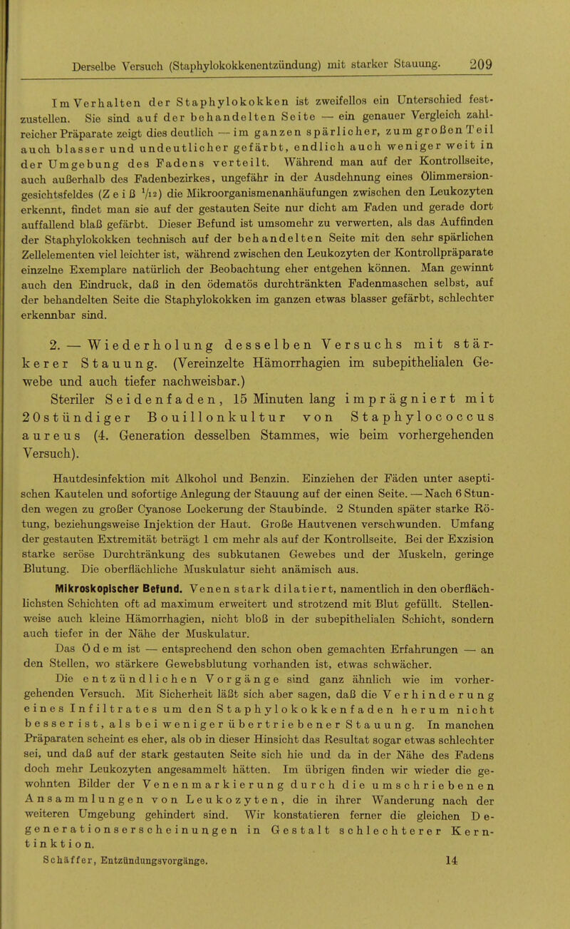 Im Verhalten der Staphylokokken ist zweifellos ein Unterschied fest- zustellen. Sie sind auf der behandelten Seite — ein genauer Vergleich zahl- reicher Präparate zeigt dies deutlich — im ganzen spärlicher, zum großen Teil auch blasser und undeutlicher gefärbt, endlich auch weniger weit in der Umgebung des Fadens verteilt. Während man auf der Kontrollseite, auch außerhalb des Fadenbezirkes, ungefähr in der Ausdehnung eines ölimmersion- gesichtsfeldes (Z e i ß Vi 2) die Mikroorganismenanhäufungen zwischen den Leukozyten erkennt, findet man sie auf der gestauten Seite nur dicht am Faden und gerade dort auffallend blaß gefärbt. Dieser Befund ist umsomehr zu verwerten, als das Auffinden der Staphylokokken technisch auf der behandelten Seite mit den sehr spärlichen Zellelementen viel leichter ist, während zwischen den Leukozyten der Kontrollpräparate eüizelne Exemplare natürUch der Beobachtung eher entgehen können. Man gewinnt auch den Eindruck, daß in den ödematös durchtränkten Fadenmaschen selbst, auf der behandelten Seite die Staphylokokken im ganzen etwas blasser gefärbt, schlechter erkennbar sind. 2. — Wiederholung desselben Versuchs mit stär- kerer Stauung. (Vereinzelte Hämorrhagien im subepithelialen Ge- webe und auch tiefer nachweisbar.) Steriler Seidenfaden, 15 Minuten lang imprägniert mit 20stündiger B o u i 11 o n k u 11 u r von S t a p h y 1 o c o c c u s aureus (4. Generation desselben Stammes, wie beim vorhergehenden Versuch). Hautdesinfektion mit Alkohol und Benzin. Einziehen der Fäden unter asepti- schen Kautelen und sofortige Anlegung der Stauung auf der einen Seite. —Nach 6 Stun- den wegen zu großer Cyanose Lockerung der Staubinde. 2 Stunden später starke Rö- tung, beziehungsweise Injektion der Haut. Große Hautvenen verschwunden. Umfang der gestauten Extremität beträgt 1 cm mehr als auf der Kontrollseite. Bei der Exzision starke seröse Durchtränkung des subkutanen Gewebes und der Muskeln, geringe Blutung. Die oberflächliche Muskulatur sieht anämisch aus. Mikroskopischer Befund. Venen stark dilatiert, namentlich in den oberfläch- lichsten Schichten oft ad maximum erweitert und strotzend mit Blut gefüllt. Stellen- weise auch kleine Hämorrhagien, nicht bloß in der subepithelialen Schicht, sondern auch tiefer in der Nähe der Muskulatur. Das ö d e m ist — entsprechend den schon oben gemachten Erfahrungen — an den Stellen, wo stärkere Gewebsblutung vorhanden ist, etwas schwächer. Die entzündlichen Vorgänge sind ganz ähnlich wie im vorher- gehenden Versuch. Mit Sicherheit läßt sich aber sagen, daß die Verhinderung e i n e s I n f i 11 r a t e s um den S t a p h y 1 o k o k k e n f a d e n herum nicht besser ist, als bei weniger übertriebener Stauung. In manchen Präparaten scheint es eher, als ob in dieser Hinsicht das Resultat sogar etwas schlechter sei, und daß auf der stark gestauten Seite sich hie und da in der Nähe des Fadens doch mehr Leukozyten angesammelt hätten. Im übrigen finden wir wieder die ge- wohnten Bilder der Venenmarkierung durch die umschriebenen Ansammlungen von Leukozyten, die in ihrer Wanderung nach der weiteren Umgebung gehindert sind. Wir konstatieren ferner die gleichen D e- generationserscheinungen in Gestalt schlechterer Kern- tin k t i o n. Schaffer, Eutzündungsvorgänge. 14