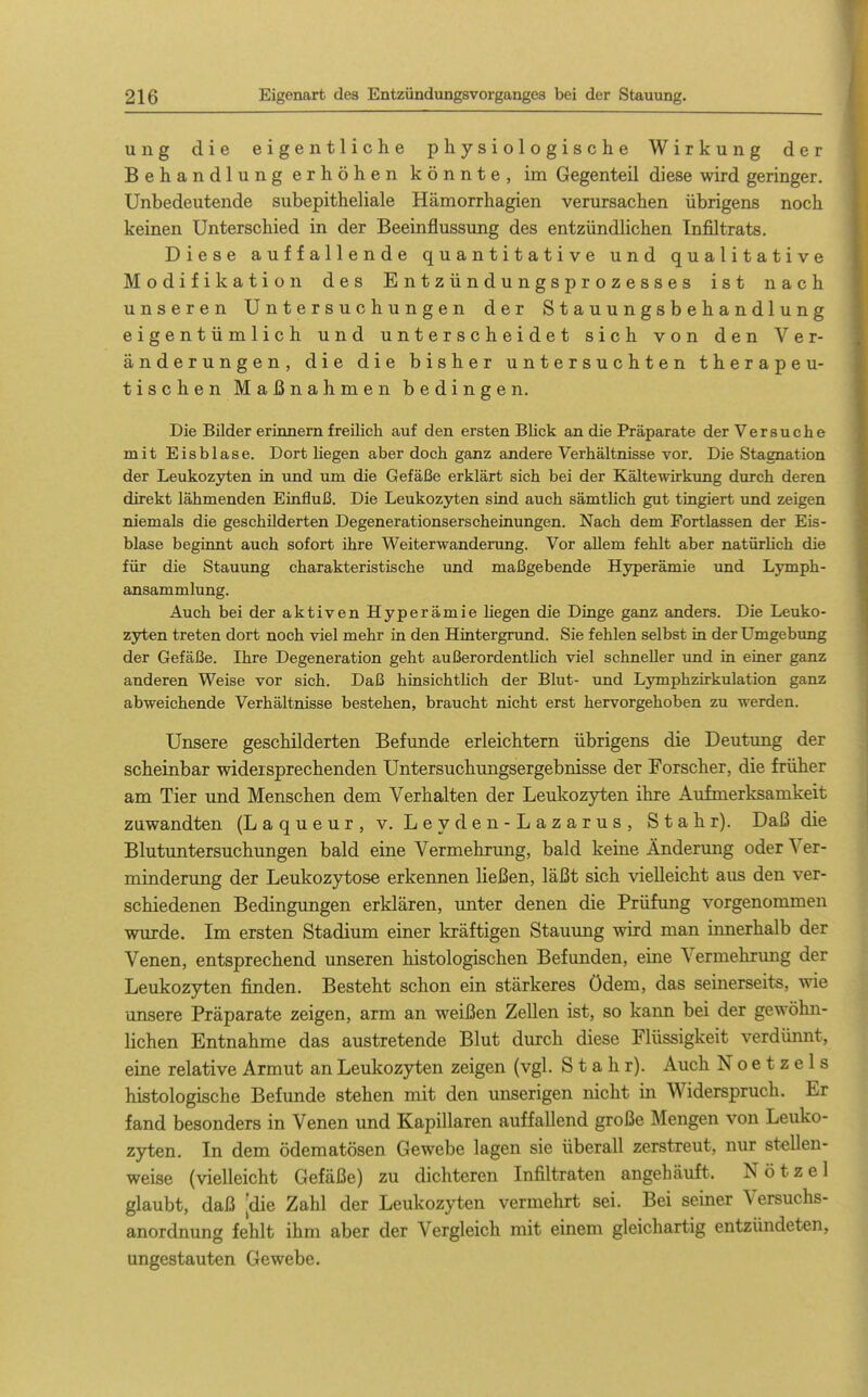 ung die eigentliche physiologische Wirkung der Behandlung erhöhen könnte, im Gegenteil diese wird geringer. Unbedeutende subepitheliale Hämorrhagien verursachen übrigens noch keinen Unterschied in der Beeinflussung des entzündlichen Infiltrats. Diese auffallende quantitative und qualitative Modifikation des Entzündungsprozesses ist nach unseren Untersuchungen der Stauungsbehand1ung eigentümlich und unterscheidet sich von den Ver- änderungen, die die bisher untersuchten therapeu- tischen Maßnahmen bedingen. Die Bilder erinnern freilich auf den ersten Blick an die Präparate der Versuche mit Eisblase. Dort liegen aber doch ganz andere Verhältnisse vor. Die Stagnation der Leukozyten in und um die Gefäße erklärt sich bei der Kältewirkung durch deren direkt lähmenden Einfluß. Die Leukozjrten sind auch sämtlich gut tingiert und zeigen niemals die geschilderten Degenerationserscheinungen. Nach dem Fortlassen der Eis- blase beginnt auch sofort ihre Weiterwanderung. Vor allem fehlt aber natürlich die für die Stauung charakteristische imd maßgebende Hyperämie und Lymph- ansammlung. Auch bei der aktiven Hyperämie liegen die Dinge ganz anders. Die Leuko- zyten treten dort noch viel mehr in den Hintergrund. Sie fehlen selbst in der Umgebung der Gefäße. Ihre Degeneration geht außerordentlich viel schneller und in einer ganz anderen Weise vor sich. Daß hinsichtlich der Blut- und Lymphzirkulation ganz abweichende Verhältnisse bestehen, braucht nicht erst hervorgehoben zu werden. Unsere geschilderten Befunde erleichtern übrigens die Deutung der scheinbar widersprechenden Untersuchungsergebnisse der Forscher, die früher am Tier imd Menschen dem Verhalten der Leukozyten ihre Aufmerksamkeit zuwandten (Laqueur,v. Leyden-Lazarus, Stahr). Daß die Blutuntersuchungen bald eine Vermehrung, bald keine Änderung oder Ver- minderung der Leukozytose erkennen ließen, läßt sich vielleicht aus den ver- schiedenen Bedingungen erklären, unter denen die Prüfung vorgenommen wurde. Im ersten Stadium einer kräftigen Stauung wird man innerhalb der Venen, entsprechend unseren histologischen Befunden, eine Vermehrimg der Leukozyten finden. Besteht schon ein stärkeres Ödem, das seinerseits, wie unsere Präparate zeigen, arm an weißen Zellen ist, so kaim bei der gewöhn- lichen Entnahme das austretende Blut durch diese Flüssigkeit verdünnt, eine relative Armut an Leukozyten zeigen (vgl. Stahr). Auch N o e t z e 1 s histologische Befunde stehen mit den unserigen nicht in Widerspruch. Er fand besonders in Venen und Kapillaren auffallend große Mengen von Leuko- zyten. In dem ödematösen Gewebe lagen sie überall zerstreut, nur stellen- weise (vielleicht Gefäße) zu dichteren Infiltraten angehäuft. Nötzel glaubt, daß [die Zahl der Leukozyten vermehrt sei. Bei seiner Versuchs- anordnung fehlt ihm aber der Vergleich mit einem gleichartig entzündeten, ungestauten Gewebe.