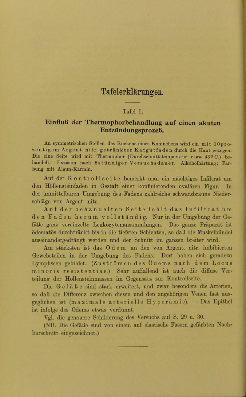 Tafelerklärungen. Tafel I. Einfluß der Thermophorbehandlung auf einen akuten Entzündungsprozeß. An symmetrischen Stellen des Rückens eines Kaninchens wird ein mit lOpro- zentigem Argent. nitr. getränkter Katgutfaden durch die Haut gezogen. Die eine Seite wird mit Thermophor (Durchschnittstemperatur etwa 430 C.) be- handelt. Exzision nach Sstündiger Versuchsdauer. Alkoholhärtung; Fär- bung mit Alaun-Karmin. Auf der Kontrollseite bemerkt man ein mächtiges Infiltrat um den Höllensteinfaden in Gestalt einer konfluierenden ovalären Figur. In der unmittelbaren Umgebung des Fadens zahlreiche schwarzbraune Nieder- schläge von Argent. nitr. Auf der behandelten Seite fehlt das Infiltrat um den Faden herum vollständig. Nur in der Umgebung der Ge- fäße ganz vereinzelte Leukozytenansammlungen. Das ganze Präparat ist ödematös durchtränkt bis in die tiefsten Schichten, so daß die Muskelbündel auseinandergedrängt werden und der Schnitt im ganzen breiter wird. Am stärksten ist das ödem an den von Argent. nitr. imbibierten Gewebsteilen in der Umgebung des Fadens. Dort haben sich geradezu Lymphseen gebildet. (Zuströmen des Ödems nach dem Locus minoris resistentiae.) Sehr auffallend ist auch die diffuse Ver- teilung der Höllensteinmassen im Gegensatz zur Kontrollseite. Die Gefäße sind stark erweitert, und zwar besonders die Arterien, so daß die Differenz zwischen diesen und den zugehörigen Venen fast aus- geglichen ist (maximale arterielle Hyperämie). — Das Epithel ist infolge des Ödems etwas verdünnt. Vgl. die genauere Schilderung des Versuchs auf S. 29 u. 30. (NB. Die Gefäße sind von einem auf elastische Fasern gefärbten Nach- barschnitt eingezeichnet.)