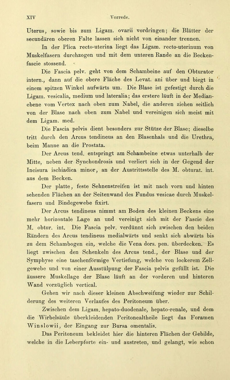 Uterus, sowie bis zum Ligam. ovarii Vordringen; die Blätter der secundären oberen Falte lassen sich nicht von einander trennen. In der Plica recto-uterina liegt das Ligam. recto-uterinum von Muskelfasern durchzogen und mit dem unteren Rande an die Becken- fascie stossend. Die Fascia pelv. geht von dem Schambeine auf den Obturator intern., dann auf die obere Fläche des Levat. ani über und biegt in einem spitzen Winkel aufwärts um. Die Blase ist gefestigt durch die Ligam. vesicalia, medium und lateralia; das erstere läuft in der Median- ebene vom Vertex nach oben zum Nabel, die anderen ziehen seitlich von der Blase nach oben zum Nabel und vereinigen sich meist mit dem Ligam. med. Die Fascia pelvis dient besonders zur Stütze der Blase; dieselbe tritt durch den Arcus tendineus an den Blasenhals und die Urethra, beim Manne an die Prostata. Der Arcus tend. entspringt am Schambeine etwas unterhalb der Mitte, neben der Synchondrosis und verliert sich in der Gegend der Incisura ischiadica minor, an der Austrittsstelle des M. obturat. int. aus dem Becken. Der platte, feste Sehnenstreifen ist mit nach vorn und hinten sehenden Flächen an der Seitenwand des Fundus vesicae durch Muskel- fasern und Bindegewebe fixirt. Der Arcus tendineus nimmt am Boden des kleinen Beckens eine mehr horizontale Lage an und vereinigt sich mit der Fascie des M. obtur. int. Die Fascia pelv. verdünnt sich zwischen den beiden Rändern des Arcus tendineus medialwärts und senkt sich abwärts bis zu dem Schambogen ein, welche die Vena dors. pen. überdecken. Es liegt zwischen den Schenkeln des Arcus tend., der Blase und der Symphyse eine taschenförmige Vertiefung, welche von lockerem Zell- gewebe und von einer Ausstülpung der Fascia pelvis gefüllt ist. Die äussere Muskellage der Blase läuft an der vorderen und hinteren Wand vorzüglich vertical. Gehen wir nach dieser kleinen Abschweifung wieder zur Schil- derung des weiteren Verlaufes des Peritoneum über. Zwischen dem Ligam. hepato-duodenale, hepato-renale, und dem die Wirbelsäule überkleidenden Peritonealtheile liegt das Foramen Winslowii, der Eingang zur Bursa omentalis. Das Peritoneum bekleidet hier die hinteren Flächen der Gebilde, welche in die Leberpforte ein- und austreten, und gelangt, wie schon