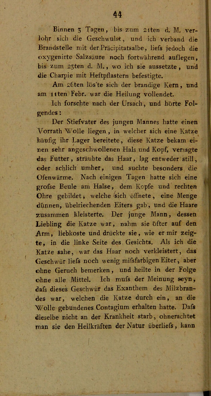 Binnen 3 Tagen, bis zum 2iten d. M. ver- Jöl^r sich die Geschwulst, und ich verband die Brandstelle mit der Präcipitatsalbe, liefs jedoch die oxygenirte Salzsäure noch fortwährend auflegen, bis zum 25ten d. M., wo ich sie aussetzte, und die Charpie mit Heftpflastern befestigte. Am 2bten los’te sich der brandige Kern, und am itten Febr. war die Heilung vollendet. Ich forschte nach der Ursach, und hörte Fol- gendes : Der Stiefvater des jungen Mannes hatte einen Vorrath Wolle liegen, in welcher sich eine Katze häufig ihr Lager bereitete, diese Katze bekam ei- nen sehr angeschwollenen Hals und Kopf,' versagte das Futter, sträubte das Haar, l^g entweder still, oder schlich umher, und suchte besonders die Ofenwärme. Nach einigen Tagen hatte sich eine grofse Beule am Halse, dem Kopfe und rechten Ohre gebildet ^ welche 'sich öffnete, eine Menge dünnen, übelriechenden Eiters^ab, und die Haare zusammen kleisterte. Der junge Mann, dessen (Liebling die Katze war, nahm sie öfter auf den Arm, liebkoste und drückte sie, wie er mir zeig- te, in die linke Seite des Gesichts. Als ich die Katze sähe, war das Haar noch verkleistert, das Geschwür liefs noch wenig mifsfarbigen Eiter, aber ohne Geruch bemerken, und heilte in der Folge ohne alle Mittel. Ich mufs der Meinung seyn, dafs dieses Geschwür das Exanthem des Milzbran- des war, welchen die Katze durch ein, an die Wolle gebundenes Contagium erhalten hatte. Dafs dieselbe nicht an der Krankheit starb, ohnerachtet man sie den Heilkräften der Natur überliefs, kann