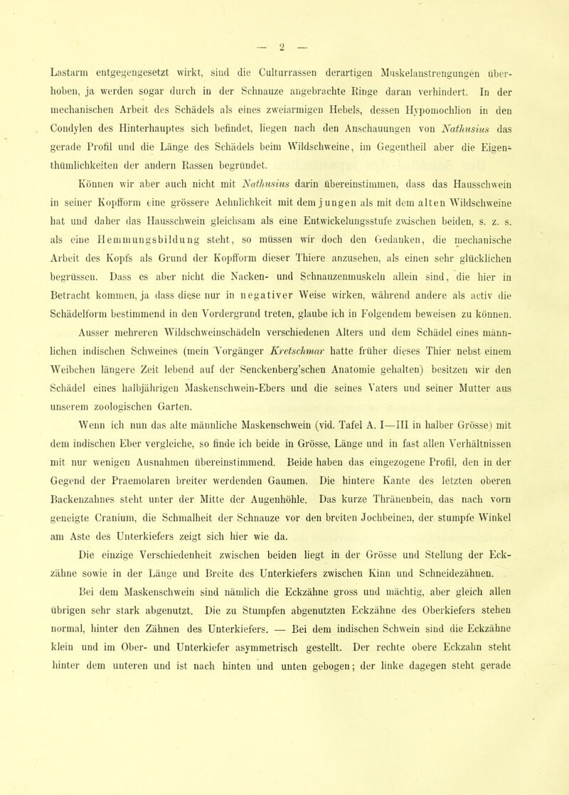 Lastarm entgegengesetzt wirkt, sind die Gulturrassen derartigen Muskelanstrengungen über- hoben, ja werden sogar durch in der Schnauze angebrachte Ringe daran verhindert. In der mechanischen Arbeit des Schädels als eines zweiarmigen Hebels, dessen Hypomoclilion in den Condylen des Hinterhauptes sich befindet, liegen nach den Anschauungen von Natliusius das gerade Profil und die Länge des Schädels beim Wildschweine, im Gegentheil aber die Eigen- thümlichkeiten der andern Rassen begründet. Können wir aber auch nicht mit Natliusius darin übereinstimmen, dass das Hausschwein in seiner Kopfform eine grössere Aehnlichkeit mit dem j ungen als mit dem alten Wildschweine hat und daher das Hausschwein gleichsam als eine Entwickelungsstufe zwischen beiden, s. z. s. als eine Hemmungsbildung steht, so müssen wir doch den Gedanken, die mechanische Arbeit des Kopfs als Grund der Kopfform dieser Thiere anzusehen, als einen sehr glücklichen begrüssen. Dass es aber nicht die Nacken- und Schnauzenmuskeln allein sind, die hier in Betracht kommen, ja dass diese nur in negativer Weise wirken, während andere als activ die Schädelform bestimmend in den Vordergrund treten, glaube ich in Folgendem beweisen zu können. Ausser mehreren Wildschweinschädeln verschiedenen Alters und dem Schädel eines männ- lichen indischen Schweines (mein Vorgänger Kretschmar hatte früher dieses Thier nebst einem Weibchen längere Zeit lebend auf der Senckenberg’schen Anatomie gehalten) besitzen wir den Schädel eines halbjährigen Maskenschwein-Ebers und die seines Vaters und seiner Mutter aus unserem zoologischen Garten. Wenn ich nun das alte männliche Maskenschwein (vid. Tafel A. I—III in halber Grösse) mit dem indischen Eber vergleiche, so finde ich beide in Grösse, Länge und in fast allen Verhältnissen mit nur wenigen Ausnahmen übereinstimmend. Beide haben das eingezogene Profil, den in der Gegend der Praemolaren breiter werdenden Gaumen. Die hintere Kante des letzten oberen Backenzahnes steht unter der Mitte der Augenhöhle. Das kurze Thränenbein, das nach vorn geneigte Cranium, die Schmalheit der Schnauze vor den breiten Jochbeinen, der stumpfe Winkel am Aste des Unterkiefers zeigt sich hier wie da. Die einzige Verschiedenheit zwischen beiden liegt in der Grösse und Stellung der Eck- zähne sowie in der Länge und Breite des Unterkiefers zwischen Kinn und Schneidezähnen. Bei dem Maskenschwein sind nämlich die Eckzähne gross und mächtig, aber gleich allen übrigen sehr stark abgenutzt. Die zu Stumpfen abgenutzten Eckzähne des Oberkiefers stehen normal, hinter den Zähnen des Unterkiefers. — Bei dem indischen Schwein sind die Eckzähne klein und im Ober- und Unterkiefer asymmetrisch gestellt. Der rechte obere Eckzahn steht hinter dem unteren und ist nach hinten und unten gebogen; der linke dagegen steht gerade