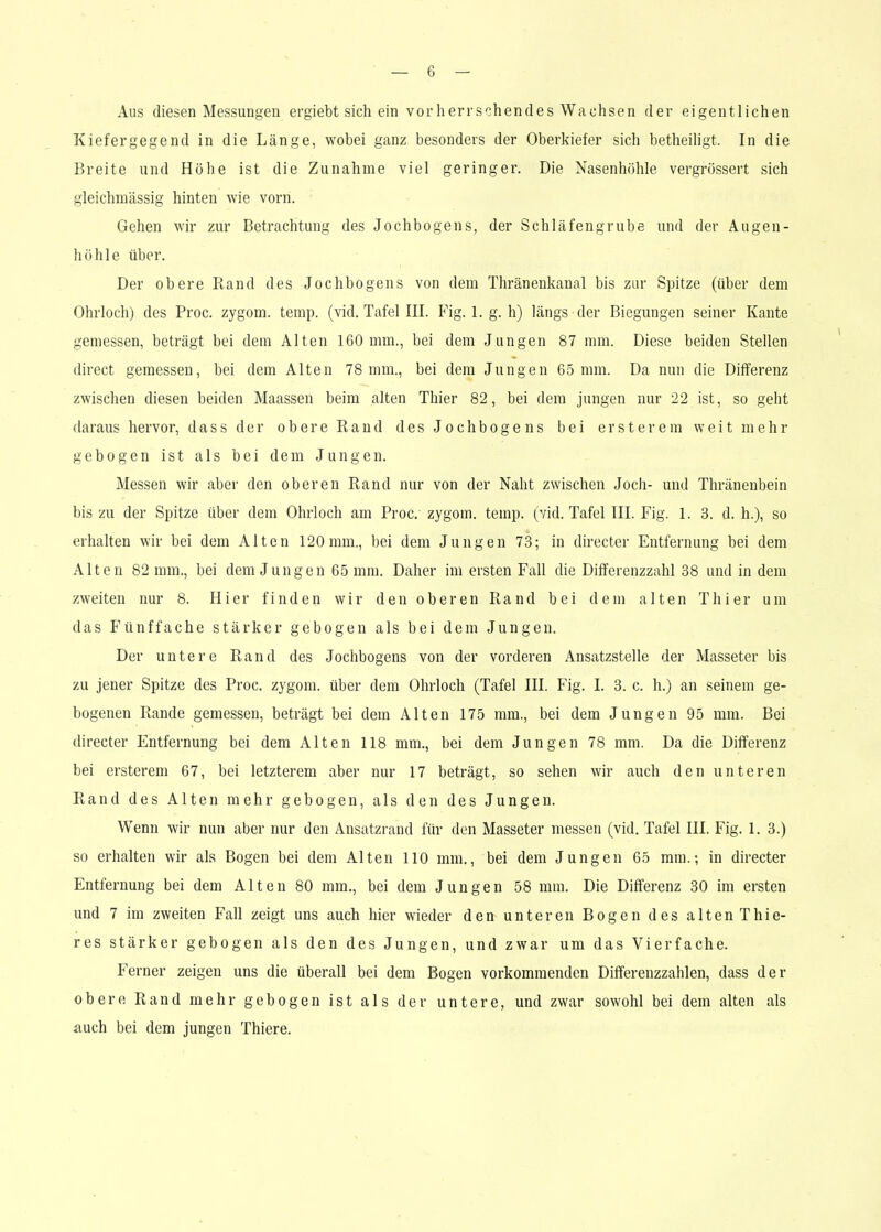 Aus diesen Messungen ergiebt sich ein vor herrschendes Wachsen der eigentlichen Kiefergegend in die Länge, wobei ganz besonders der Oberkiefer sich betheiligt. In die Breite und Höhe ist die Zunahme viel geringer. Die Nasenhöhle vergrössert sich gleichmässig hinten wie vorn. Gehen wir zur Betrachtung des Jochbogens, der Schläfengrube und der Augen- höhle über. Der obere Rand des Jochbogens von dem Thränenkanal bis zur Spitze (über dem Ohrloch) des Proc. zygom. temp. (vid. Tafel III. Fig. 1. g. h) längs der Biegungen seiner Kante gemessen, beträgt bei dem Alten 160 mm., bei dem Jungen 87 mm. Diese beiden Stellen direct gemessen, bei dem Alten 78 mm., bei dem Jungen 65 mm. Da nun die Differenz zwischen diesen beiden Maassen beim alten Thier 82, bei dem jungen nur 22 ist, so geht daraus hervor, dass der obere Rand des Jochboge ns bei ersterem weit mehr gebogen ist als bei dem Jungen. Messen wir aber den oberen Rand nur von der Naht zwischen Joch- und Thränenbein bis zu der Spitze über dem Ohrloch am Proc. zygom. temp. (vid. Tafel III. Fig. 1. 3. d. h.), so erhalten wir bei dem Alten 120mm., bei dem Jungen 73; in directer Entfernung bei dem Alten 82 mm., bei dem Jungen 65 mm. Daher im ersten Fall die Differenzzahl 38 und in dem zweiten nur 8. Hier finden wir den oberen Rand bei dem alten Thier um das Fünffache stärker gebogen als bei dem Jungen. Der untere Rand des Jochbogens von der vorderen Ansatzstelle der Masseter bis zu jener Spitze des Proc. zygom. über dem Ohrloch (Tafel III. Fig. I. 3. c. h.) an seinem ge- bogenen Rande gemessen, beträgt bei dem Alten 175 mm., bei dem Jungen 95 mm. Bei directer Entfernung bei dem Alten 118 mm., bei dem Jungen 78 mm. Da die Differenz bei ersterem 67, bei letzterem aber nur 17 beträgt, so sehen wir auch den unteren Rand des Alten mehr gebogen, als den des Jungen. Wenn wir nun aber nur den Ansatzrand für den Masseter messen (vid. Tafel III. Fig. 1. 3.) so erhalten wir als Bogen bei dem Alten 110 mm., bei dem Jungen 65 mm.; in directer Entfernung bei dem Alten 80 mm., bei dem Jungen 58 mm. Die Differenz 30 im ersten und 7 im zweiten Fall zeigt uns auch hier wieder den unteren Bogen des alten Thie- res stärker gebogen als den des Jungen, und zwar um das Vierfache. Ferner zeigen uns die überall bei dem Bogen vorkommenden Differenzzahlen, dass der obere Rand mehr gebogen ist als der untere, und zwar sowohl bei dem alten als auch bei dem jungen Thiere.