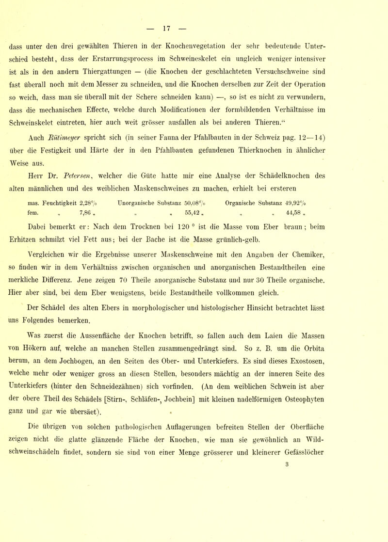 dass unter den drei gewählten Thieren in der Knochenvegetation der sehr bedeutende Unter- schied besteht, dass der Erstarrungsprocess im Schweineskelet ein ungleich weniger intensiver ist als in den andern Thiergattungen — (die Knochen der geschlachteten Versuchschweine sind fast überall noch mit dem Messer zu schneiden, und die Knochen derselben zur Zeit der Operation so weich, dass man sie überall mit der Schere schneiden kann) —, so ist es nicht zu verwundern, dass die mechanischen Effecte, welche durch Modificationen der formbildenden Verhältnisse im Schweinskelet eintreten, hier auch weit grösser ausfallen als bei anderen Thieren.“ Auch R ütimeyer spricht sich (in seiner Faunader Pfahlbauten in der Schweiz pag. 12—14) über die Festigkeit und Härte der in den Pfahlbauten gefundenen Thierknochen in ähnlicher Weise aus. Herr Dr. Retersen, welcher die Güte hatte mir eine Analyse der Schädelknochen des alten männlichen und des weiblichen Maskenschweines zu machen, erhielt bei ersteren mas. Feuchtigkeit 2,28% Unorganische Substanz 50,08% Organische Substanz 49,92% fern. „ 7,86 „ „ „ 55,42 „ „ „ 44,58 „ Dabei bemerkt er: Nach dem Trocknen bei 120° ist die Masse vom Eber braun; beim Erhitzen schmilzt viel Fett aus; bei der Bache ist die Masse grünlich-gelb. Vergleichen wir die Ergebnisse unserer Maskenschweine mit den Angaben der Chemiker, so linden wir in dem Verhältniss zwischen organischen und anorganischen Bestandtheilen eine merkliche Differenz. Jene zeigen 70 Theile anorganische Substanz und nur 30 Theile organische. Hier aber sind, bei dem Eber wenigstens, beide Bestandtheile vollkommen gleich. Der Schädel des alten Ebers in morphologischer und histologischer Hinsicht betrachtet lässt uns Folgendes bemerken. Was zuerst die Aussenfläche der Knochen betrifft, so fallen auch dem Laien die Massen von Hökern auf, welche an manchen Stellen zusammengedrängt sind. So z. B. um die Orbita herum, an dem Jochbogen, an den Seiten des Ober- und Unterkiefers. Es sind dieses Exostosen, welche mehr oder weniger gross an diesen Stellen, besonders mächtig an der inneren Seite des Unterkiefers (hinter den Schneidezähnen) sich vorfinden. (An dem weiblichen Schwein ist aber der obere Theil des Schädels [Stirn-, Schläfen-, Jochbein] mit kleinen nadelförmigen Osteophyten ganz und gar wie übersäet). Die übrigen von solchen pathologischen Auflagerungen befreiten Stellen der Oberfläche zeigen nicht die glatte glänzende Fläche der Knochen, wie man sie gewöhnlich an Wild- schweinschädeln findet, sondern sie sind von einer Menge grösserer und kleinerer Gefässlöcher 3