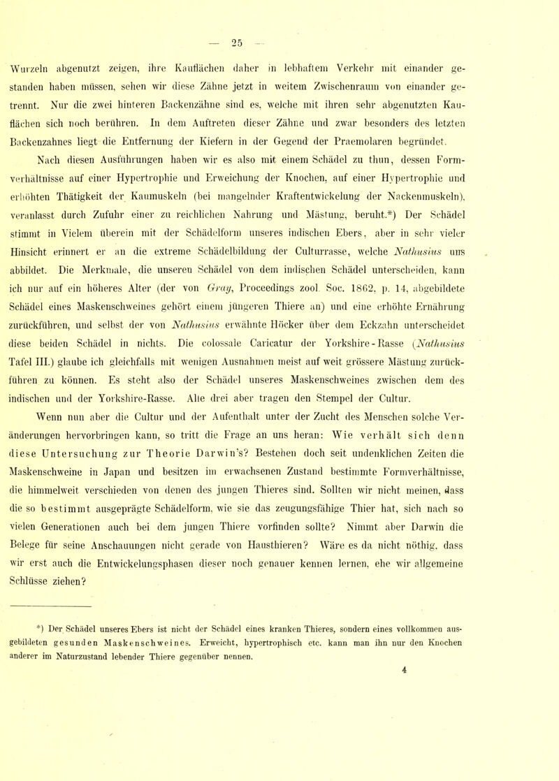 Wurzeln abgenutzt zeigen, ihre Kauflächen daher in lebhaftem Verkehr mit einander ge- standen haben müssen, sehen wir diese Zähne jetzt in weitem Zwischenraum von einander ge- trennt. Nur die zwei hinteren Backenzähne sind es, welche mit ihren sehr abgenutzten Kau- flächen sich noch berühren. In dem Auftreten dieser Zähne und zwar besonders des letzten Backenzahnes liegt die Entfernung der Kiefern in der Gegend der Praemolaren begründet. Nach diesen Ausführungen haben wir es also mit einem Schädel zu thun, dessen Form- verhältnisse auf einer Hypertrophie und Erweichung der Knochen, auf einer Hypertrophie und erhöhten Thätigkeit der Kaumuskeln (bei mangelnder Kraftentwickelung der Nnckenmuskeln), veranlasst durch Zufuhr einer zu reichlichen Nahrung und Mästung, beruht.*) Der Schädel stimmt in Vielem überein mit der Schädelform unseres indischen Ebers, aber in sehr vieler Hinsicht erinnert er an die extreme Schädelbildung der Culturrasse, welche Nathusius uns abbildet. Die Merkmale, die unseren Schädel von dem indischen Schädel unterscheiden, kann ich nur auf ein höheres Alter (der von Gray, Proceedings zool Soc. 1862, p. 14, abgebildete Schädel eines Maskenschweines gehört einem jüngeren Thiere an) und eine erhöhte Ernährung zurückführen, und selbst der von Nathusius erwähnte Höcker über dem Eckzahn unterscheidet diese beiden Schädel in nichts. Die colossale Caricatur der Yorkshire-Rasse (Nathusius Tafel III.) glaube ich gleichfalls mit wenigen Ausnahmen meist auf weit grössere Mästung zurück- führen zu können. Es steht also der Schädel unseres Maskenschweines zwischen dem des indischen und der Yorkshire-Rasse. Alle drei aber tragen den Stempel der Cultur. Wenn nun aber die Cultur und der Aufenthalt unter der Zucht des Menschen solche Ver- änderungen hervorbringen kann, so tritt die Frage an uns heran: Wie verhält sich denn diese Untersuchung zur Theorie Darwin’s? Bestehen doch seit undenklichen Zeiten die Maskenschweine in Japan und besitzen im erwachsenen Zustand bestimmte Formverhältnisse, die himmelweit verschieden von denen des jungen Thieres sind. Sollten wir nicht meinen, dass die so bestimmt ausgeprägte Schädelform, wie sie das zeugungsfähige Thier hat, sich nach so vielen Generationen auch bei dem jungen Thiere vorfinden sollte? Nimmt aber Darwin die Belege für seine Anschauungen nicht gerade von Hausthieren? Wäre es da nicht nöthig. dass wir erst auch die Entwickelungsphasen dieser noch genauer kennen lernen, ehe wir allgemeine Schlüsse ziehen? *) Der Schädel unseres Ebers ist nicht der Schädel eines kranken Thieres, sondern eines vollkommen aus- gebildeten gesunden Maskenschweines. Erweicht, hypertrophisch etc. kann man ihn nur den Knochen anderer im Naturzustand lebender Thiere gegenüber nennen. 4