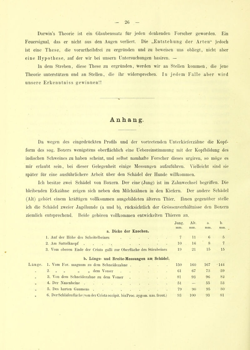 Darwin’s Theorie ist ein Glaubenssatz für jeden denkenden Forscher geworden. Ein Feuersignal, das er nicht aus den Augen verliert. Die „Entstehung der Arten“ jedoch ist eine These, die vorurtheilsfrei zu ergründen und zu beweisen uns obliegt, nicht aber eine Hypothese, auf der wir bei unsern Untersuchungen basiren. — In dem Streben, diese These zu ergründen, werden wir an Stellen kommen, die jene Theorie unterstützen und an Stellen, die ihr widersprechen. In jedem Falle aber wird unsere Erkenntniss gewinnen!! Anhang. Da wegen des eingedrückten Profils und der vortretenden Unterkieferzähne die Kopf- form des sog. Boxers wenigstens oberflächlich eine Uebereinstimmung mit der Kopfbildung des indischen Schweines zu haben scheint, und selbst namhafte Forscher dieses urgiren, so möge es mir erlaubt sein, bei dieser Gelegenheit einige Messungen aufzuführen. Vielleicht sind sie später für eine ausführlichere Arbeit über den Schädel der Hunde willkommen. Ich besitze zwei Schädel von Boxern. Der eine (Jung) ist im Zahnwechsel begriffen. Die bleibenden Eckzähne zeigen sich neben den Milchzähnen in den Kiefern. Der andere Schädel (Alt) gehört einem kräftigen vollkommen ausgebildeten älteren Thier. Ihnen gegenüber stelle ich die Schädel zweier Jagdhunde (a und b), rücksichtlich der Grössenverhältnisse den Boxern ziemlich entsprechend. Beide gehören vollkommen entwickelten Thieren an. Jung. Alt, a. b. a. Dicke der Knochen. mm. mm. mm. mm. 1. Auf der Höhe des Scheitelbeines 7 n 6 5 2. Am Sattelknopf ......... 10 16 8 7 3. Vom oberen Ende der Crista galli zur Oberfläche des Stirnbeines 19 21 15 15 b. Länge- und Breite-Messungen am Schädel. Länge. 1. Vom For. magnum zu dem Schneidezahne 150 160 167 144 „ 2. „ „ „ „ dem Vomer ..... 61 67 73 59 „ 3. Von dem Schneidezahne zu dem Vomer .... 81 93 96 82 „ 4. Der Nasenbeine ......... 51 — 55 53 „ 5. Des harten Gaumens 79 90 95 80 „ 6. Der Schläfenfläche (von der Crista occipit. bisProc. zygom. nas. front.) 93 100 93 81