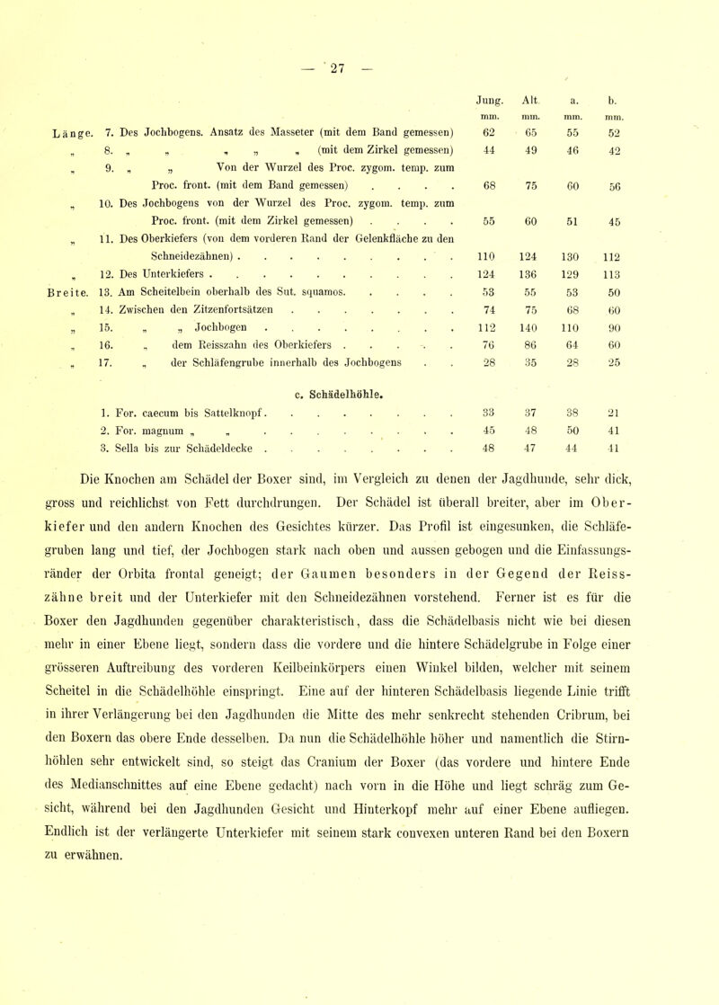 Jung. Alt. a. b. mm. mm. mm. mm. Länge. 7. Des Jochbogens. Ansatz des Masseter (mit dem Band gemessen) 62 65 55 52 „ 8. „ „ , „ „ (mit dem Zirkel gemessen) 44 49 46 42 „ 9. „ Von der Wurzel des Proc. zygom. temp. zum Proc. front, (mit dem Band gemessen) .... 68 75 60 56 V 10. Des Jochbogens von der Wurzel des Proc. zygom. temp. zum Proc. front, (mit dem Zirkel gemessen) .... 55 60 51 45 n 11. Des Oberkiefers (von dem vorderen Rand der Gelenkfläche zu den Schneidezähnen) 110 124 130 112 12. Des Unterkiefers . 124 136 129 113 Breite. 13. Am Scheitelbein oberhalb des Sut. scpiamos 53 55 53 50 „ 14. Zwischen den Zitzenfortsätzen 74 75 68 60 15. „ „ Jochbogen 112 140 110 90 „ 16. „ dem Reisszahn des Oberkiefers ..... 76 86 64 60 17. , der Schläfengrube innerhalb des Jochbogens 28 35 28 25 c. Schädelhöhle. 1. For. caecum bis Sattelknopf 33 37 38 21 2. For. magnum „ „ 45 48 50 41 3. Sella bis zur Schädeldecke 48 47 44 41 Die Knochen am Schädel der Boxer sind, im Vergleich zu denen der Jagdhunde, sehr dick, gross und reichlichst von Fett durchdrungen. Der Schädel ist überall breiter, aber im Ober- kiefer und den andern Knochen des Gesichtes kürzer. Das Profil ist eingesunken, die Schläfe- gruben lang und tief, der Jochbogen stark nach oben und aussen gebogen und die Einfassungs- ränder der Orbita frontal geneigt; der Gaumen besonders in der Gegend der Reiss- zähne breit und der Unterkiefer mit den Schneidezähnen vorstehend. Ferner ist es für die Boxer den Jagdhunden gegenüber charakteristisch, dass die Schädelbasis nicht wie bei diesen mehr in einer Ebene liegt, sondern dass die vordere und die hintere Schädelgrube in Folge einer grösseren Auftreibung des vorderen Keilbeinkörpers einen Winkel bilden, welcher mit seinem Scheitel in die Schädelhöhle einspringt. Eine auf der hinteren Schädelbasis liegende Linie trifft in ihrer Verlängerung bei den Jagdhunden die Mitte des mehr senkrecht stehenden Cribrum, bei den Boxern das obere Ende desselben. Da nun die Schädelhöhle höher und namentlich die Stirn- höhlen sehr entwickelt sind, so steigt das Cranium der Boxer (das vordere und hintere Ende des Medianschnittes auf eine Ebene gedacht) nach vorn in die Höhe und liegt schräg zum Ge- sicht, während bei den Jagdhunden Gesicht und Hinterkopf mehr auf einer Ebene aufliegen. Endlich ist der verlängerte Unterkiefer mit seinem stark convexen unteren Rand bei den Boxern zu erwähnen.