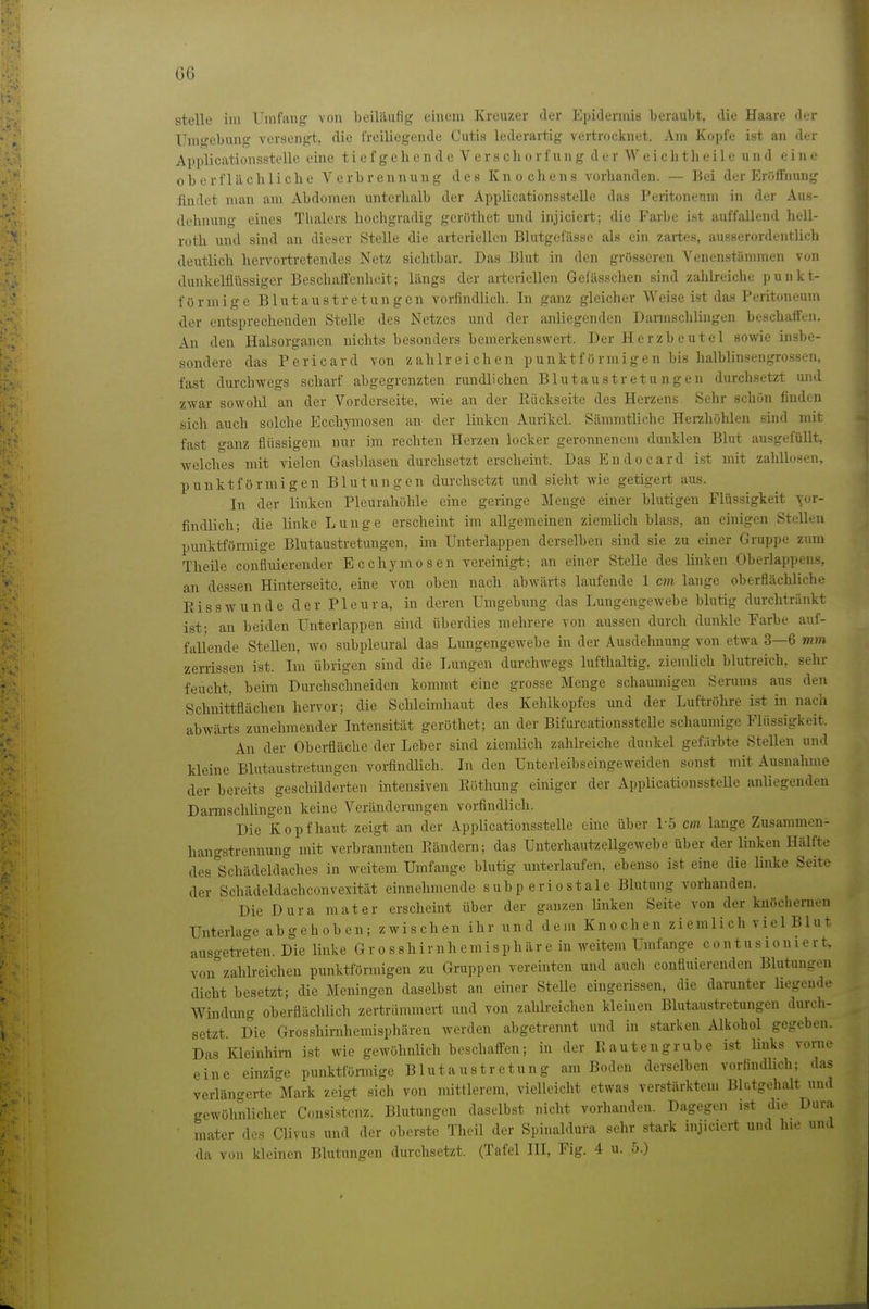 stelle im Umfang von beiläufig einem Kreuzer der Epidermis beraubt, die Haare der TIms?ebung versengt, die freiliegende Cutis lederartig vertrocknet. Am Kopfe ist an der Applicationsstellc eine ti e f g eh c n d e V e r s ch o rf un g d er W e i ch th eile u n d eine oberflächliche Verbrennung des Knochens vorhanden. — Bei der P^röifhung findet man am Abdomen unterhalb der Applicationsstellc das Peritoneum in der Aus- dehnung eines Tlialers hochgradig gcrlithet und injiciert; die Farlje ist auffallend hell- roth und sind an dieser Stelle die arteriellen Blutgefässe als ein zartes, ausserordentlich deutlich hervortretendes Netz sichtbar. Das Blut in den grösseren Venenstännnen von dunkelflüssiger Beschaffenheit; längs der arteriellen Gefässchen sind zahlreiche punkt- förmige Blutaustr etun gen vorfindlich. In ganz gleicher Weise ist das Peritoneum tler entsprechenden Stelle des Netzes imd der anliegenden Darmschlingen beschaffen. An den Halsorganen nichts besonders bemerkenswert. Der Herzbeutel sowie in.sbe- sonderc das Pericard von zahlreichen punktförmigen bis halblinsengrossen, fast durchwegs scharf abgegrenzten rundlichen Blutaustretungen durchsetzt und zwar sowohl an der Vorderseite, wie an der Rückseite des Herzens. Sehr schön finden sich auch solche Ecchymosen an der linken Aurikel. Sämmtliche Herahöhlen sind mit fast ganz flüssigem nur im rechten Herzen locker geronnenem dunklen Blut ausgefüllt, welches mit vielen Gasblasen durchsetzt erscheint. Das Endocard ist mit zahllosen, punktförmigen Blutungen durchsetzt und sieht wie getigert aus. In der linken Pleurahöhle eine geringe Menge einer blutigen Flüssigkeit \or- findlich; die linke Lunge erscheint im allgemeinen ziemlich blass, an einigen Stelleu punktförmige Blutaustretungen, im Unterlappen derselben sind sie zu einer Gruppe zum Theile confluierender Ecchymosen vereinigt; an einer Stelle des linken Oberlappens, an dessen Hinterseite, eine von oben nach abwärts laufende 1 cm lange oberflächliche Eisswunde der Pleura, in deren Umgebung das Lungengewebe blutig durchtränkt ist; an beiden Unterlappen sind überdies mehrere von aussen durch dunkle Farbe auf- fallende SteUen, wo subpleural das Lungengewebe in der Ausdehnung von etwa 3—6 mm zerrissen ist. Im übrigen sind die Lungen durchwegs lufthaltig, ziemüch blutreich, sehr feucht, beim Durchschneiden kommt eine grosse Menge schaumigen Serums aus den Schnittflächen hervor; die Schleimhaut des Kehlkopfes und der Luftröhre ist in nach abwärts zunehmender Intensität geröthet; an der Bifurcationsstelle schaumige Flüssigkeit. An der Oberfläche der Leber sind ziemlich zahlreiche dunkel gefärbte Stellen und kleine Blutaustretungen vorfindlich. In den Unterleibseingeweiden sonst mit Ausnahme der bereits geschilderten intensiven Eöthung einiger der Applicationsstellc anliegenden DaiTOSchlingen keine Veränderungen vorfindlich. Die Kopfhaut zeigt an der Applicationsstellc eine über l o cm lange Zusammen- hangstrennung mit verbrannten Eändeni; das ünterhautzellgewebe über der Unken Hälfte des Schädeldaches in weitem Umfange blutig unterlaufen, ebenso ist eine die linke Seite der Schädeldachconvexität einnehmende subperiostale Blutung vorhanden. Die Dura mater erscheint über der ganzen Hnken Seite von der knöchernen Unterlage abgehoben; zwischen ihr und dem Knochen zi emli ch viel Bl u t ausgetreten. Die linke G r o s s h i r n h e m i s p Ii ä r e in weitem Umfange c o n t u s i o n i e r t. vonzahlreichen punktförmigen zu Gruppen vereinten und auch contiuierenden Blutungen dicht besetzt; die Meningen daselbst an einer Stelle eingerissen, die darunter liegende Windung oberflächlich zertrümmert und von zahlreichen kleinen Blutaustretungen durch- setzt. Die Grosshinihemisphären werden abgetrennt und in starken Alkohol gegeben. Das Kleinhirn ist wie gewöhnUch beschaifen; in der Eautengrübe ist links vorne eine einzige punktförmige Blutaus tretung am Boden derselben vorfindlich; das verlän'^erte Mark zeigt sich von mittlerem, vielleicht etwas verstärktem Blutgehalt und gewöhnlicher Consistcnz. Blutungen daselbst nicht vorhanden. Dagegen ist die Dura mater des Clivus und der oberste Theil der Spinaldura sehr stark injiciert und lue und da von kleinen Blutungen durchsetzt. (Tafel III, Fig. 4 u. 5.)