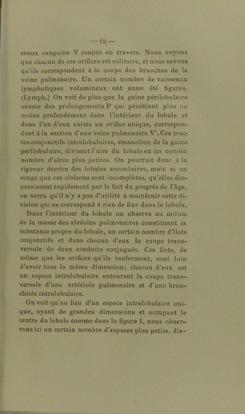 seaux sanguins V coupés en travers. Nous voyons que chacun de ces orifices est solitaire, et nous savons qu'ils correspondent à la coupe des branches de la veine pulmonaire. Un certain nombre de vaisseaux lymphatiques volumineux ont aussi été figurés. (Lymph.) On voit de plus que la gaine périlobulaire envoie des prolongements P qui pénètrent plus ou moins profondément dans l'intérieur du lobule et dans l'un d'eux existe un orifice unique, correspon- dant à la section d'une veine pulmonaire V. Ces trac- tusconjonctifs intralobulaires, émanation de la gaine périlobulaire, divisent l'aire du lobule en un certain nombre d'aires plus petites. On pourrait donc à la rigueur décrire des lobules secondaires, mais si on songe que ces cloisons sont incomplètes, qu'elles dis- paraissent rapidement par le fait du progrès de l'âge, on verra qu'il n'y a pas d'utilité à maintenir cette di- vision qui ne correspond à rien de fixe dans le lobule. Dans l'intérieur du lobule on observe au milieu de la masse des alvéoles pulmonaires constituant la substance propre du lobule, un certain nombre d'îlots conjonctifs et dans chacun d'eux la coupe trans- versale de deux conduits conjugués. Ces îlots, de même que les orifices qu'ils renferment, sont loin d'avoir tous la même dimension; chacun d'eux est un espace intralobulaire entourant la coupe trans- versale d'une artériole pulmonaire et d'une bron- chiole intralobulaire. On voit qu'au lieu d'un espace intralobulaire uni- que, ayant de grandes dimensions et occupant le centre du lobule comme dans la figure 1, nous obser- vons ici un certain nombre d'espaces plus petits, dis-
