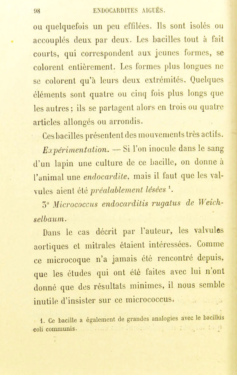 OU quelquefois un pou effilées. Ils sont isolés ou accouplés deux par deux. Les bacilles tout à fait courts, qui correspondent aux jeunes formes, se colorent entièrement. Les formes plus longues ne se colorent qu'à leurs deux extrémités. Quelques éléments sont quatre ou cinq fois plus longs que les autres ; ils se partagent alors en trois ou quatre articles allongés ou arrondis. Ces bacilles présentent des mouvements très actifs. EdpérinientaUon. — Si l'on inocule dans le sang d'un lapin une culture de ce bacille, on donne à l'animal une endocardite, mais il faut que les val- vules aient ciè préalablement lésées \ 5 Micrococcus endocardilis rugatus de Weich- selbaum. Dans le cas décrit par l'auteur, les valvules aortiques et mitrales étaient intéressées. Comme ce microcoque n'a jamais été rencontré depuis, que les études qui ont été faites avec lui n'ont donné que des résultats minimes, il nous semble inutile d'insister sur ce micrococcus. 1. Ce bacille a également de grandes analogies avec le bacillûs coli communis. , ,.'