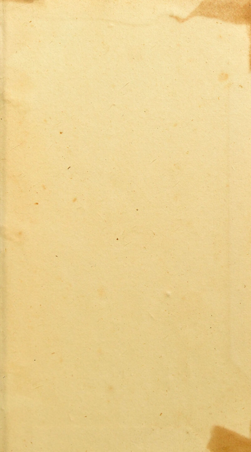 ♦ . • i A 1 î »• \ y A \v ♦ , J- .•l* ■ *? 0 / V / /