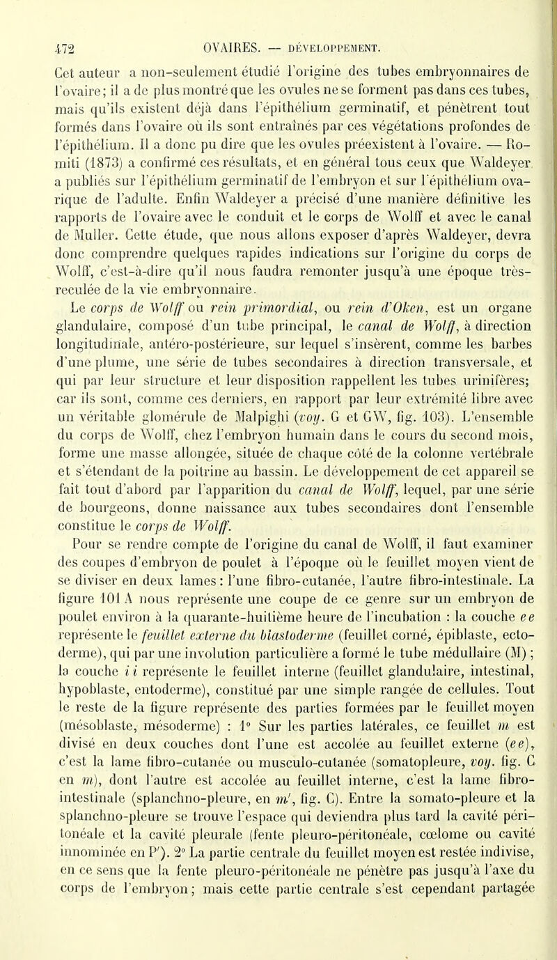 Cet auteur a nou-seulement étudié l'origine des tubes embryonnaires de l'ovaire; il a de plus montré que les ovules ne se forment pas dans ces tubes, mais qu'ils existent déjà dans l'épithélium germinatif, et pénètrent tout formés dans l'ovaire où ils sont entraînés par ces végétations profondes de l'épithélium. Il a donc pu dire que les ovules préexistent à l'ovaire. — Ro- miti (1873) a confirmé ces résultats, et en général tous ceux que Waldeyer a publiés sur l'épithélium germinatif de l'embryon et sur l'épithélium ova- rique de l'adulte. Enfin Waldeyer a précisé d'une manière définitive les rapports de l'ovaire avec le conduit et le corps de Wolff et avec le canal de MuUer. Cette étude, que nous allons exposer d'après Waldeyer, devra donc comprendre quelques rapides indications sur l'origine du corps de Wolff, c'est-à-dire qu'il nous faudra remonter jusqu'à une époque très- reculée de la vie embryonnaire. Le corps de Wolff ou rein primordial, ou rein d'Oken, est un organe glandulaire, composé d'un tube principal, le canal de Wolff, à direction longitudinale, antéro-postérieure, sur lequel s'insèi-ent, comme les barbes d'une plume, une série de tubes secondaires à direction transversale, et qui par leur structure et leur disposition rappellent les tubes urinii'ères; car ils sont, comme ces derniers, en rapport par leur extrémité libre avec un véritable glomérule de Malpighi (roy. G et GW, fig. 103). L'ensemble du corps de Wolff, chez l'embryon humain dans le cours du second mois, forme une masse allongée, située de chaque côté de la colonne vertébrale et s'étendant de la poitrine au bassin. Le développement de cet appareil se fait tout d'abord par l'apparition du canal de Wolff, lequel, par une série de bourgeons, donne naissance aux tubes secondaires dont l'ensemble constitue le corps de Wolff. Pour se rendre compte de l'origine du canal de Wolff, il faut examiner des coupes d'embryon de poulet à l'époque où le feuillet moyen vient de se diviser en deux lames: l'une fibro-cutanée, l'autre fibro-intestinale. La figure 101 A nous représente une coupe de ce genre sur un embryon de poulet environ à la quarante-huitième heure de l'incubation : la couche ee représente le feuillet externe du blastoderme (feuillet corné, épiblaste, ecto- derme), qui par une involution particulière a formé le tube médullaire (M) ; la couche ii représente le feuillet interne (feuillet glandulaire, intestinal, hypoblaste, entoderme), constitué par une simple rangée de cellules. Tout le reste de la figure repi'ésente des parties formées par le feuillet moyen (mésoblaste, mésoderme) : 1° Sur les parties latérales, ce feuillet m est divisé en deux couches dont l'une est accolée au feuillet externe {ee]y c'est la lame fibro-cutanée ou musculo-cutanée (somatopleure, voy. fig. G en m), dont l'autre est accolée au feuillet interne, c'est la lame fibro- intestinale (splanchno-pleure, en m', fig. G). Entre la somato-pleure et la splanchno-pleure se trouve l'espace qui deviendra plus tard la cavité péri- tonéale et la cavité pleurale (fente pleuro-péritonéale, cœlome ou cavité innominée en P'). 2° La partie centrale du feuillet moyen est restée indivise, en ce sens que la fente pleuro-péritonéale ne pénètre pas jusqu'à l'axe du corps de l'embryon; mais cette partie centrale s'est cependant partagée