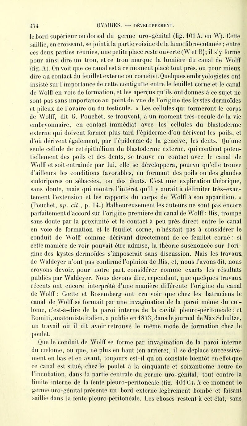 le bord supérieur ou dorsal du germe uro-génital (fig. 101 A, en W). Cette saillie, en croissant, se jointà la partie voisine de la lame fibro-cutanée ; entre ces deux parties réunies, une petite place reste ouverte (W et B); il s'y forme pour ainsi dire un trou, et ce trou marque la lumière du canal de Wolff (fig. A) On voit que ce canal est à ce moment placé tout près, ou pour mieux dire au contact du feuillet externe ou corné(e). Quelques embryologistes ont insisté sur l'importance de cette contiguïté entre le feuillet corné et le canal de Wollî en voie de formation, et les aperçus qu'ils ontdonnés à ce sujet ne sont pas sans importance au point de vue de l'origine des kystes dermoïdes et pileux de l'ovaire ou du testicule. « Les cellules qui formeront le corps de WolIT, dit G. Pouchet, se trouvent, à un moment très-reculé de la vie embryonnaire, en contact immédiat avec les cellules du blastoderme externe qui doivent former plus tard l'épiderme d'où dérivent les poils, et d'où dérivent également, par l'épiderme de la gencive, les dents. Qu'une seule cellule de cetépithélium du blastoderme externe, qui contient poten- tiellement des poils et des dents, se trouve en contact avec le canal de Wolff et soit entraînée par lui, elle se développera, pourvu qu'elle trouve d'ailleurs les conditions favorables, en formant des poils ou des glandes sudoripares ou sébacées, ou des dents. C'est une explication théorique, sans doute, mais qui montre l'iatérêt qu'il y aurait à délimiter très-exac- tement l'extension et les rapports du corps de Wolff à son apparition. » (Pouchet, op. cit., p. 14.) Malheureusement les auteurs ne sont pas encore parfaitement d'accord sur l'origine première du canal de Wolff : His, trompé sans doute par la proximité et le contact à peu près direct entre le canal en voie de formation et le feuillet corné, n'hésitait pas à considérer le conduit de Wolff comme dérivant directement de ce feuillet corné : si cette manière de voir pouvait être admise, la théorie susénoncée sur l'ori- gine des kystes dermoïdes s'imposerait sans discussion. Mais les travaux de Waldeyer n'ont pas confirmé l'opinion de His, et, nous l'avons dit, nous croyons devoir, pour notre part, considérer comme exacts les résultats publiés par Waldeyer. Nous devons dire, cependant, que quelques travaux récents ont encore interprété d'une manière différente l'origine du canal de Wolff : Gœtte et Rosemberg ont cru voir que chez les bati'aciens le canal de Wolff se formait par une invagination de la paroi même du cœ- lome, c'est-à-dire de la paroi interne de la cavité pleuro-péritonéale ; et Romiti, anatomiste italien, a publié en 1873, dans lejournal deMaxSchultze, un travail où il dit avoir retrouvé le même mode de formation chez le poulet. Que le conduit de Wolff se forme par invagination de la paroi interne du cœlome, ou que, né plus en haut (en arrière), il se déplace successive- ment en bas et en avant, toujours est-il qu'on constate bientôt en effet que ce canal est situé, chez le poulet à la cinquante et soixantième heure de l'incubation, dans la partie centrale du germe uro-génital, tout contre la limite interne de la fente pleuro-péritonéale (fig. 101 C). A ce moment le germe uro-génital présente un bord externe légèrement bombé et faisant saillie dans la fente pleuro-péritonéale. Les choses restent à cet état, sans