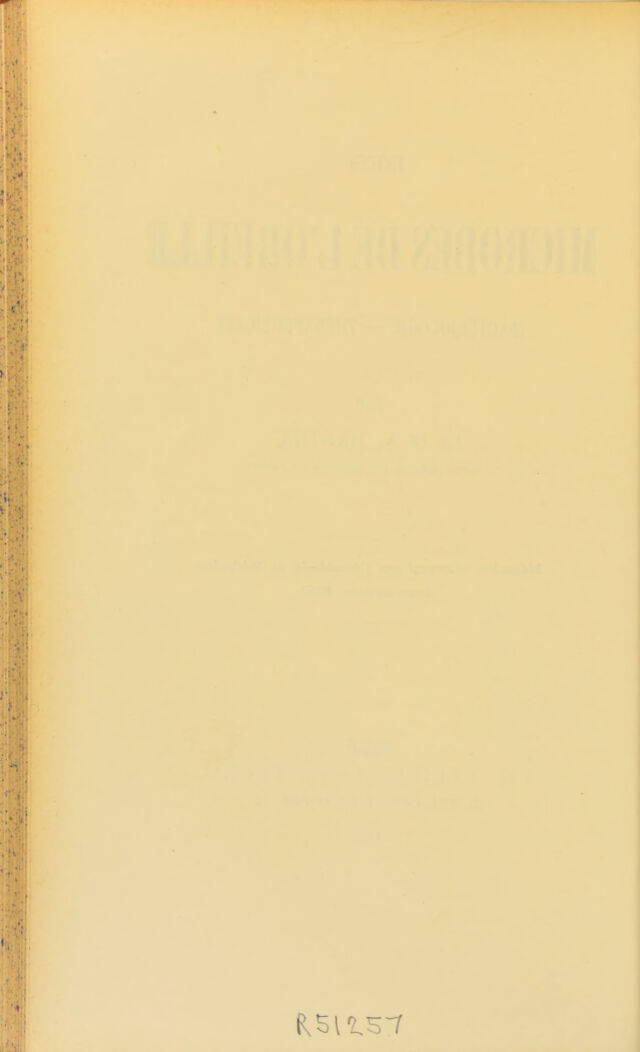 digitised image 2