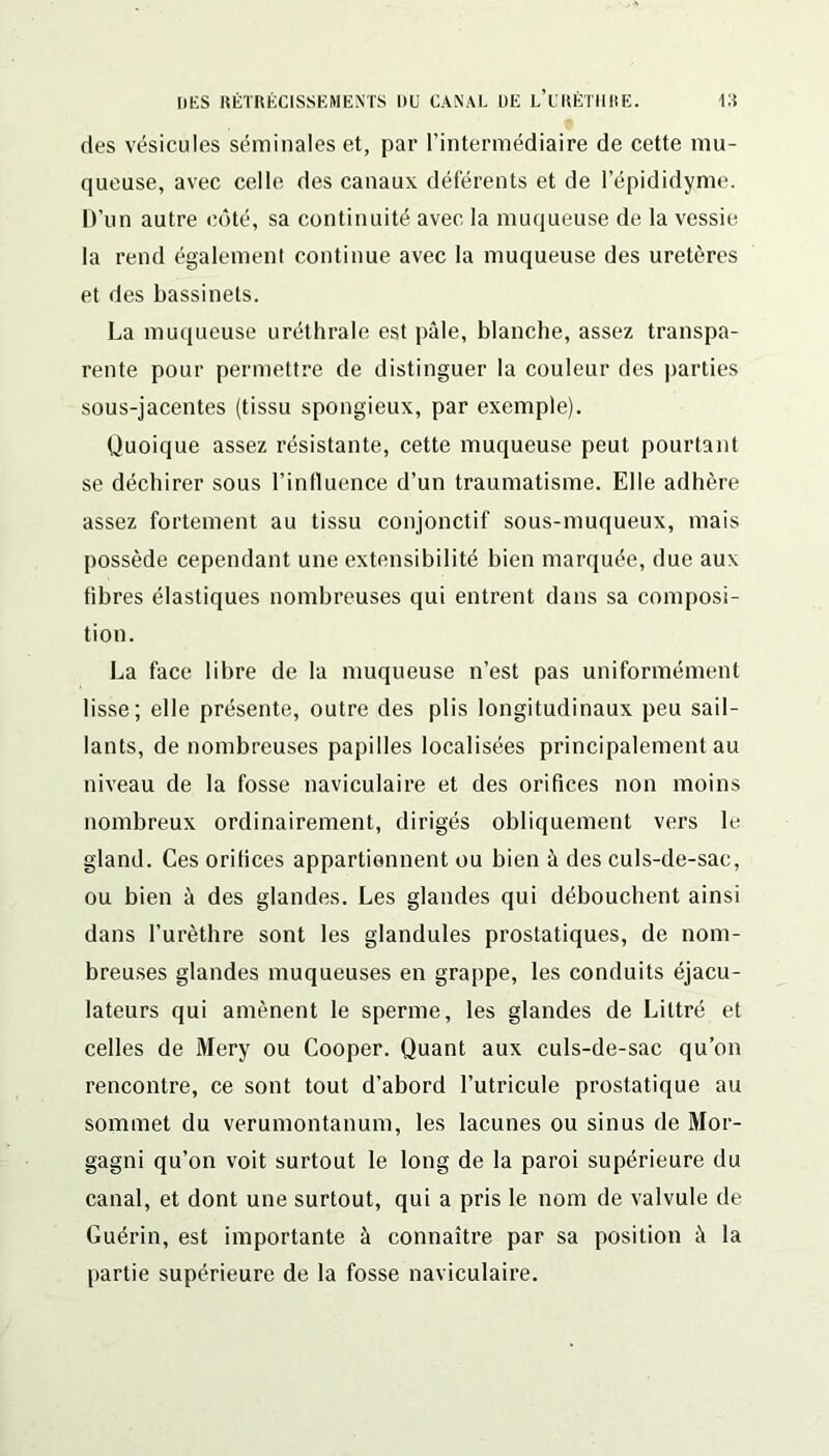 des vésicules séminales et, par l’intermédiaire de cette mu- queuse, avec celle des canaux déférents et de l’épididyme. D’un autre côté, sa continuité avec la muqueuse de la vessie la rend également continue avec la muqueuse des uretères et des bassinets. La muqueuse uréthrale est pâle, blanche, assez transpa- rente pour permettre de distinguer la couleur des parties sous-jacentes (tissu spongieux, par exemple). Quoique assez résistante, cette muqueuse peut pourtant se déchirer sous l’influence d’un traumatisme. Elle adhère assez fortement au tissu conjonctif sous-muqueux, mais possède cependant une extensibilité bien marquée, due aux fibres élastiques nombreuses qui entrent dans sa composi- tion. La face libre de la muqueuse n’est pas uniformément lisse; elle présente, outre des plis longitudinaux peu sail- lants, de nombreuses papilles localisées principalement au niveau de la fosse naviculaire et des orifices non moins nombreux ordinairement, dirigés obliquement vers le gland. Ces orifices appartiennent ou bien à des culs-de-sac, ou bien à des glandes. Les glandes qui débouchent ainsi dans l’urèthre sont les glandules prostatiques, de nom- breuses glandes muqueuses en grappe, les conduits éjacu- lateurs qui amènent le sperme, les glandes de Littré et celles de Mery ou Cooper. Quant aux culs-de-sac qu’on rencontre, ce sont tout d’abord l’utricule prostatique au sommet du verumontanum, les lacunes ou sinus de Mor- gagni qu’on voit surtout le long de la paroi supérieure du canal, et dont une surtout, qui a pris le nom de valvule de Guérin, est importante à connaître par sa position à la partie supérieure de la fosse naviculaire.