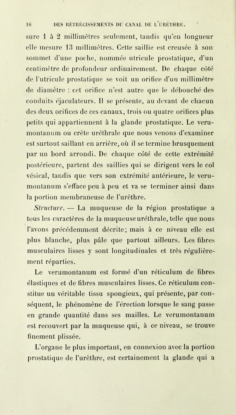 sure 1 à 2 millimètres seulement, tandis qu’en longueur elle mesure 13 millimètres. Cette saillie est creusée à son sommet d’une poche, nommée utricule prostatique, d’un centimètre de profondeur ordinairement. De chaque coté de l’utricule prostatique se voit un orifice d’un millimètre de diamètre : cet orifice n’est autre que le débouché des conduits éjaculateurs. Il se présente, au devant de chacun des deux orifices de ces canaux, trois ou quatre orifices plus petits qui appartiennent à la glande prostatique. Le veru- montanum ou crête uréthrale que nous venons d’examiner est surtout saillant en arrière, où il se termine brusquement par un bord arrondi. De chaque côté de cette extrémité postérieure, parlent des saillies qui se dirigent vers le col vésical, tandis que vers son extrémité antérieure, le veru- montanum s’efface peu à peu et va se terminer ainsi dans la portion membraneuse de l’urèthre. Structure. — La muqueuse de la région prostatique a tous les caractères de la muqueuse uréthrale, telle que nous l’avons précédemment décrite; mais à ce niveau elle est plus blanche, plus pâle que partout ailleurs. Les fibres musculaires lisses y sont longitudinales et très régulière- ment réparties. Le verumontanum est formé d’un réticulum de fibres élastiques et de fibres musculaires lisses. Ce réticulum con- stitue un véritable tissu spongieux, qui présente, par con- séquent, le phénomène de l’érection lorsque le sang passe en grande quantité dans ses mailles. Le verumontanum est recouvert par la muqueuse qui, à ce niveau, se trouve finement plissée. L’organe le plus important, en connexion avec la portion prostatique de l’urèthre, est certainement la glande qui a