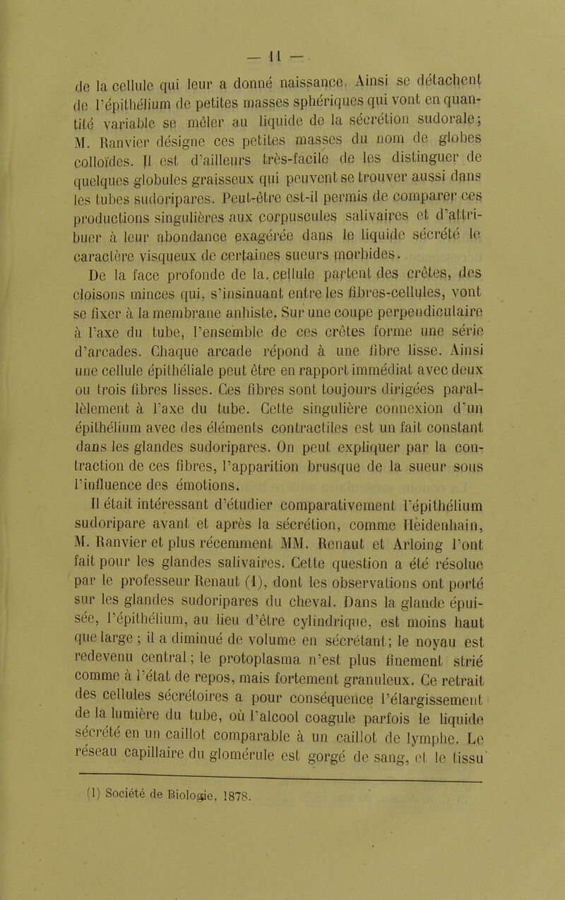 de la cellule qui leur a donné naissance- Ainsi se détachent de l’épithélium de petites masses sphériques qui vont en quan- tité variable se mêler au liquide de la secrétion sudoiale, M. Ranvier désigne ces petites masses du nom de globes colloïdes. Il est d’ailleurs très-facile de les distinguer de quelques globules graisseux qui peuvent se trouver aussi dans les tubes sudoripares. Peut-être est-il permis de comparer ces productions singulières aux corpuscules salivaires et d’attri- buer à leur abondance exagérée dans le liquide sécrété le caractère visqueux de certaines sueurs morbides. De la face profonde de la. cellule partent des crêtes, des cloisons minces qui, s’insinuant entre les fibres-cellules, vont se fixer à la membrane anhiste. Sur une coupe perpendiculaire à l’axe du tube, l’ensemble de ces crêtes forme une série d’arcades. Chaque arcade répond à une fibre lisse. Ainsi une cellule épithéliale peut être en rapport immédiat avec deux ou trois fibres lisses. Ces fibres sont toujours dirigées paral- lèlement à l’axe du tube. Cette singulière connexion d’un épithélium avec des éléments contractiles est un fait constant dans les glandes sudoripares. On peut expliquer par la con- traction de ces fibres, l’apparition brusque de la sueur sous l’influence des émotions. Il était intéressant d’étudier comparativement l’épithélium sudoripare avant et après la sécrétion, comme Heidenhain, M. Ranvier et plus récemment MM. Renaut et Arloing l’ont fait pour les glandes salivaires. Cette question a été résolue par le professeur Renaut (1), dont les observations ont porté sur les glandes sudoripares du cheval. Dans la glande épui- sée, l’épithélium, au lieu d’être cylindrique, est moins haut que large ; il a diminué de volume en sécrétant; le noyau est redevenu central ; le protoplasma n’est plus finement strié comme à 1 état de repos, mais fortement granuleux. Ce retrait des cellules sécrétoires a pour conséquence l’élargissement de la lumière du tube, où Talcool coagule parfois le liquide séo été en un caillot comparable a un caillot de lymphe. Le îéseau capillaire du glomérule est gorgé de sang, et le tissu